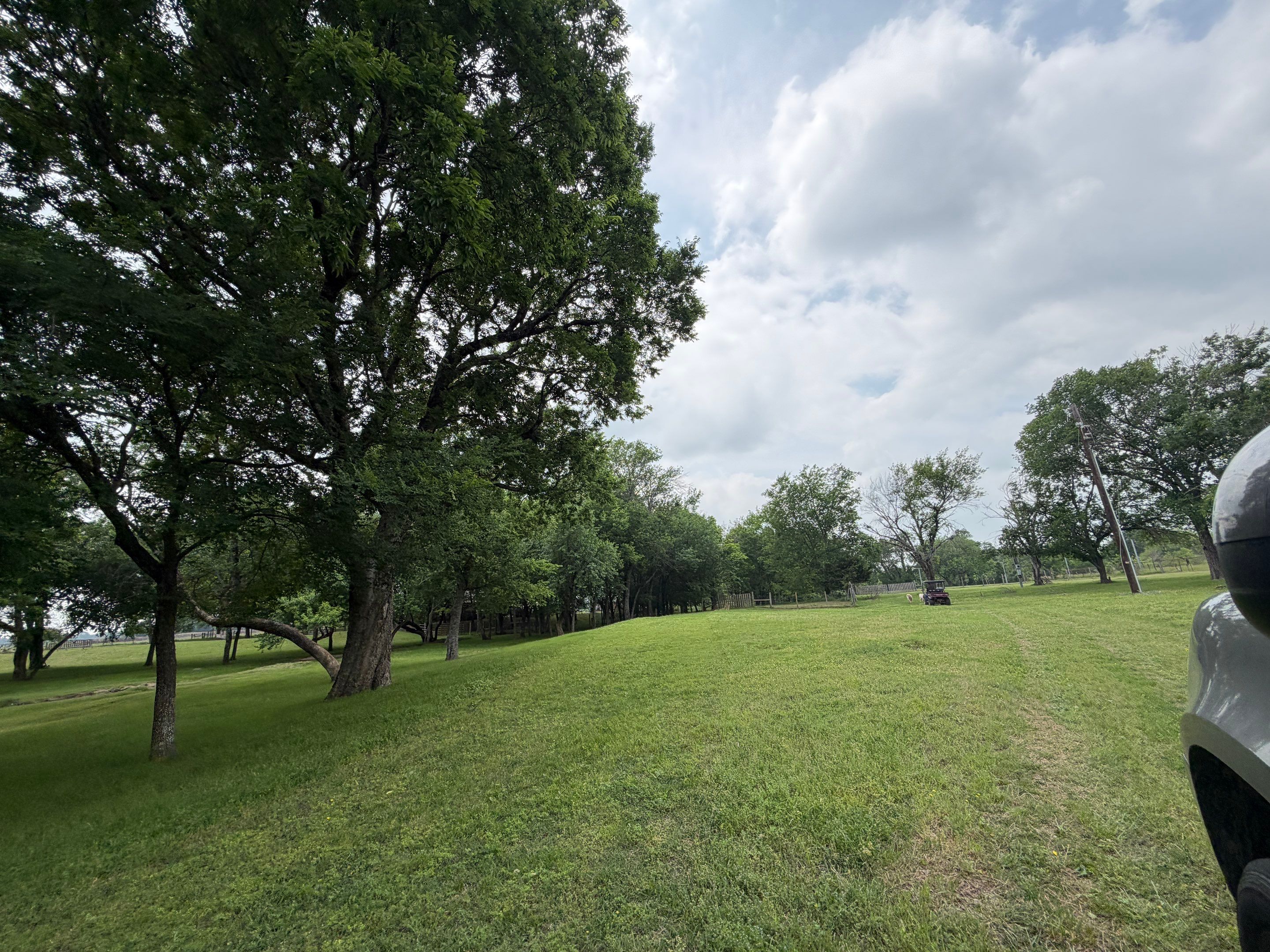 Project in Terrell, TX by Rockwall Honey Bee Company