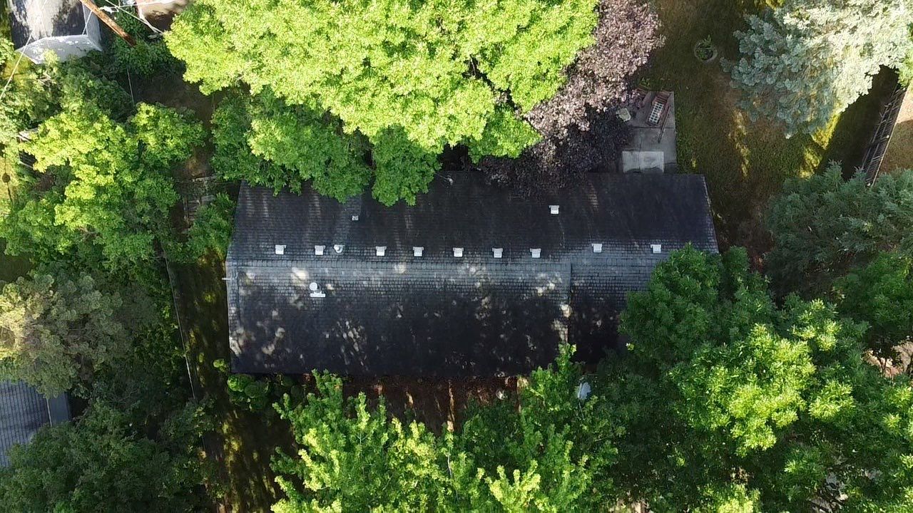 Soffit- End Squirrel entry by Abra Kadabra Pest And Wildlife 