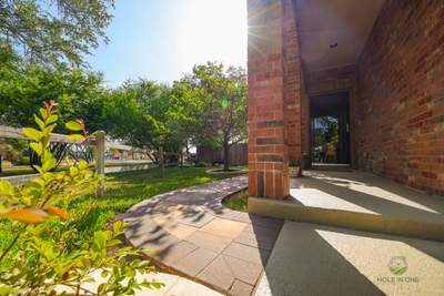 Wortham Oak, San Antonio TX