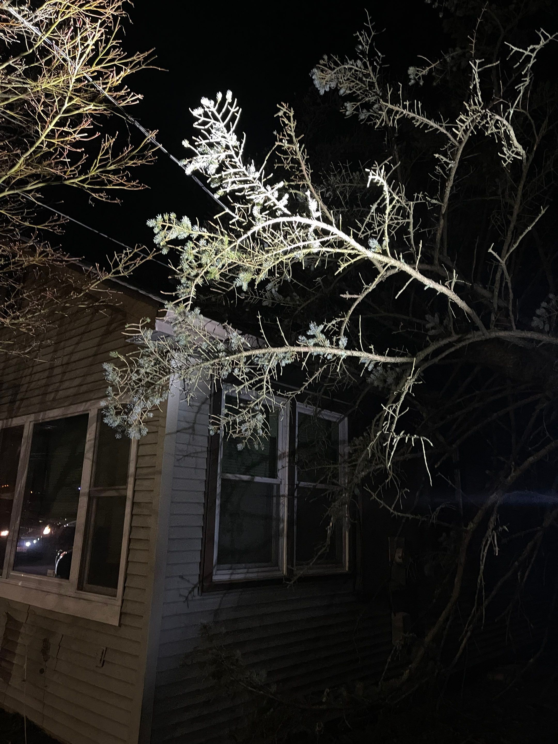 Gutter and roof replacement by Window Depot of Annapolis
