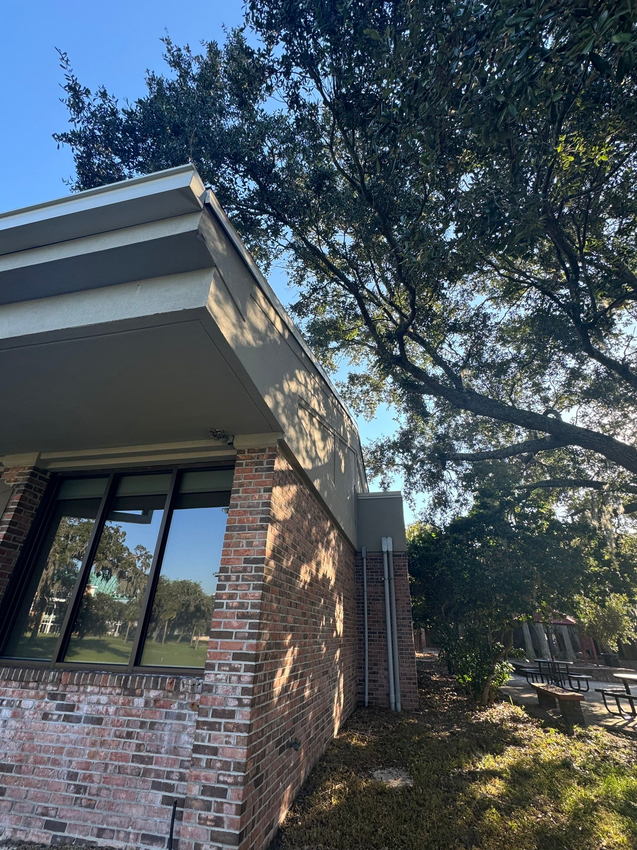 Volunteer Work | Episcopal High School of Jacksonville by ProGreen Services