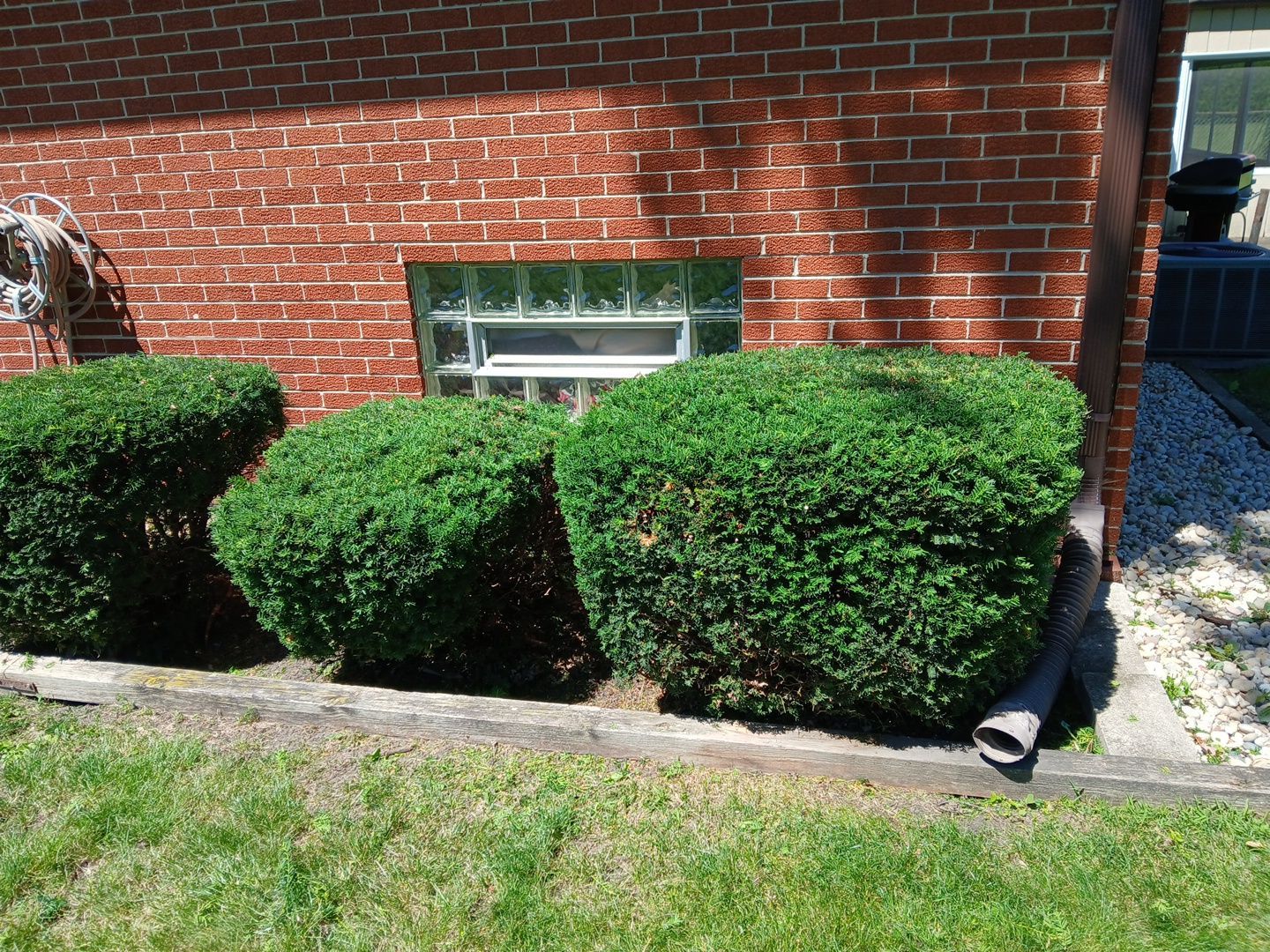 Martha C. - Mount Prospect, IL by A&N 