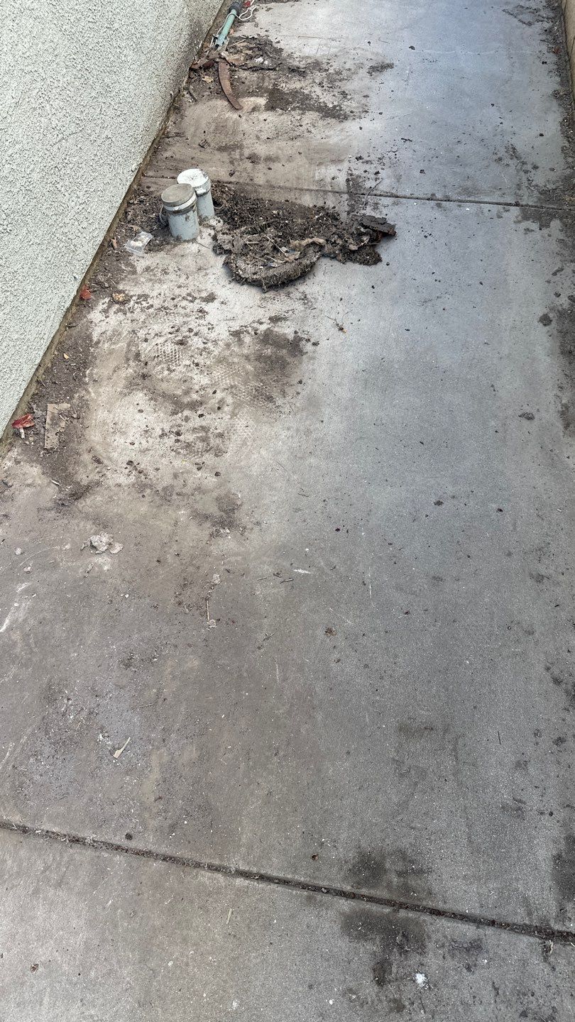 House washing, window cleaning, and screen repair by Property Cleaning Experts