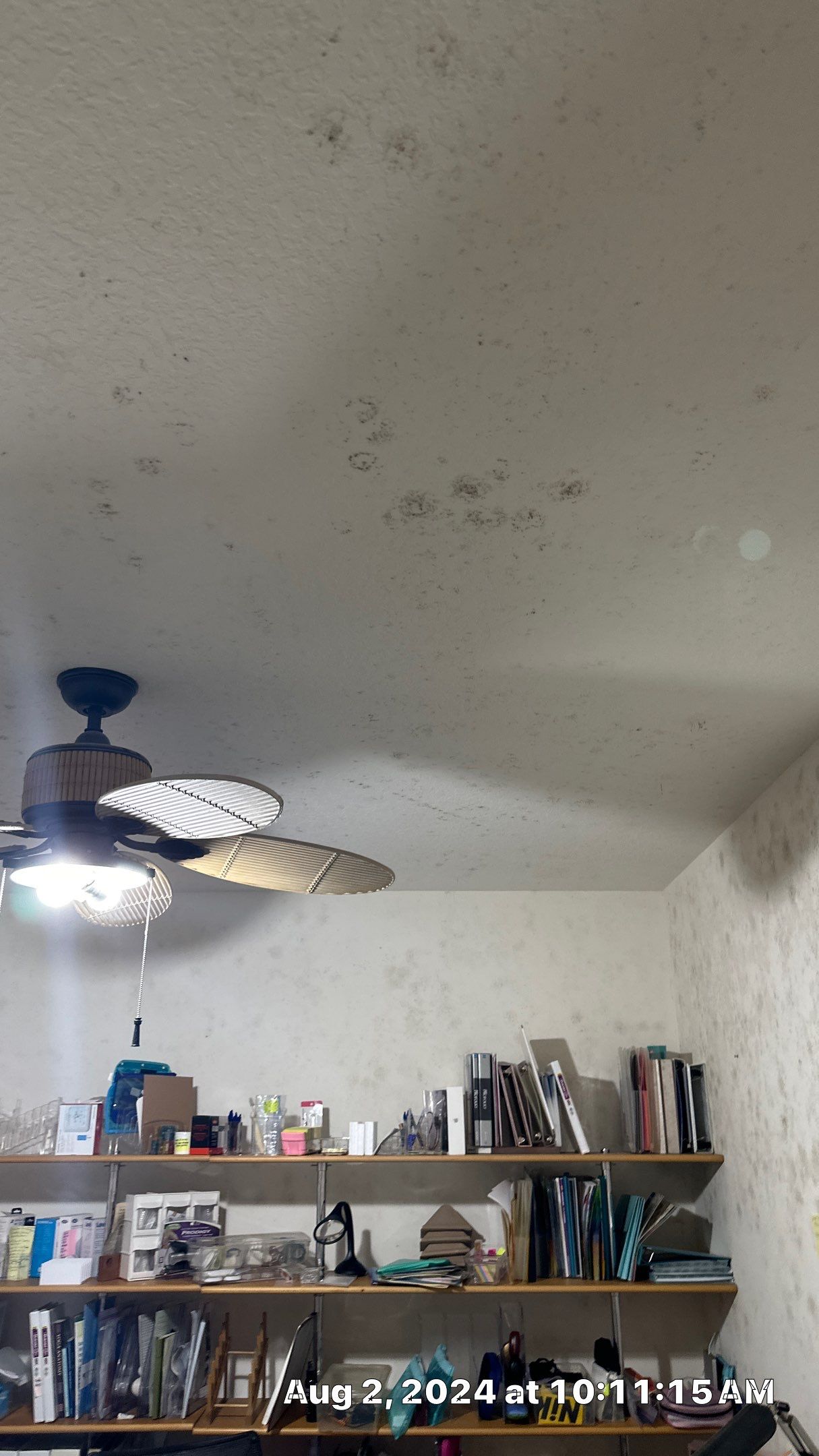 Mold Assessment using IR Camera, Moisture Meter, Air Cassette samples and Tape lifts by Building performance Solutions LLC