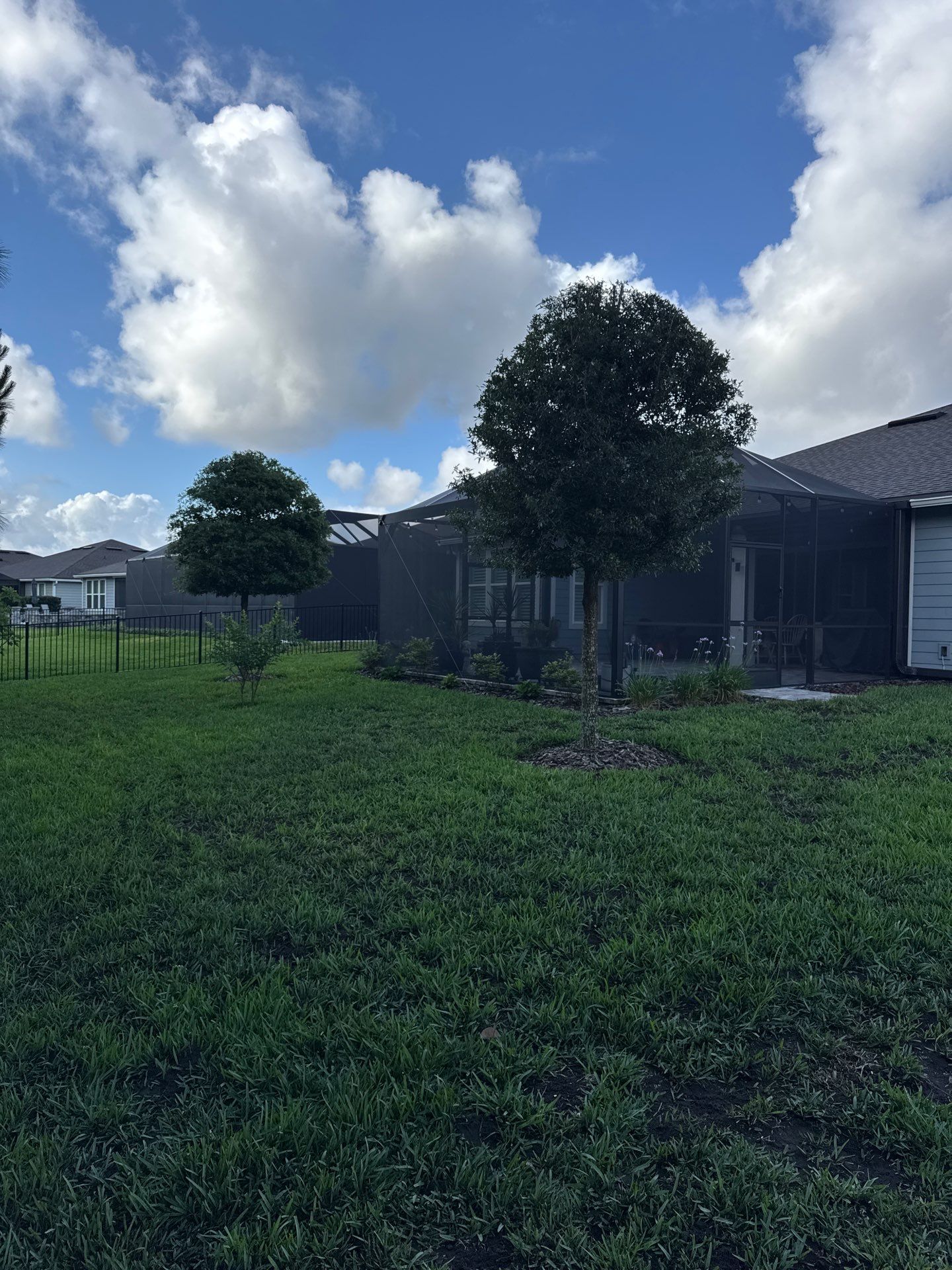Residential | Topsoil Install & Tree Trimming by ProGreen Services