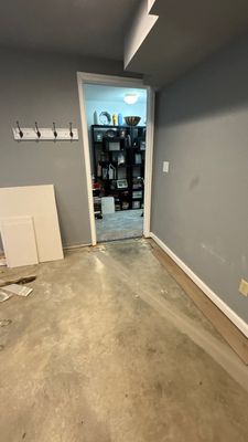 Mold Project in Thornton