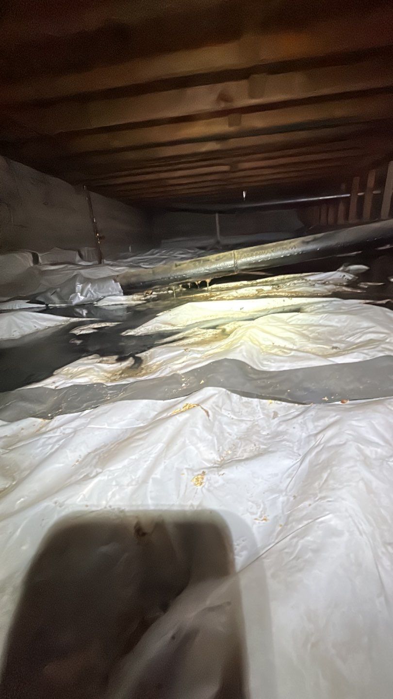 Sewage Backup by Accountable Home Services