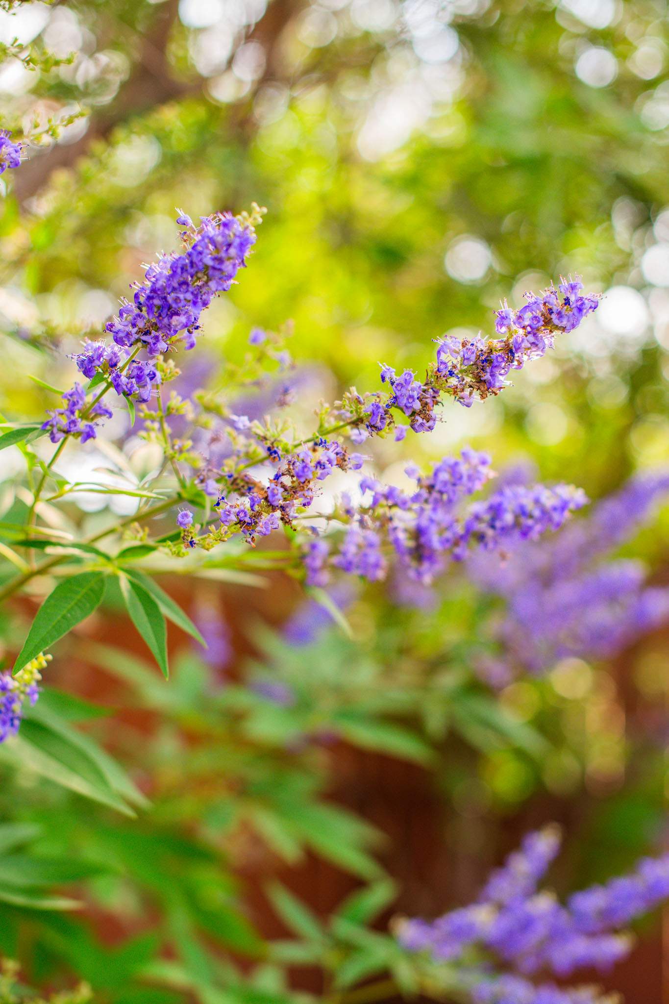 Southwestern Serenity: Rethinking the Front Yard by Complete Exterior Solutions