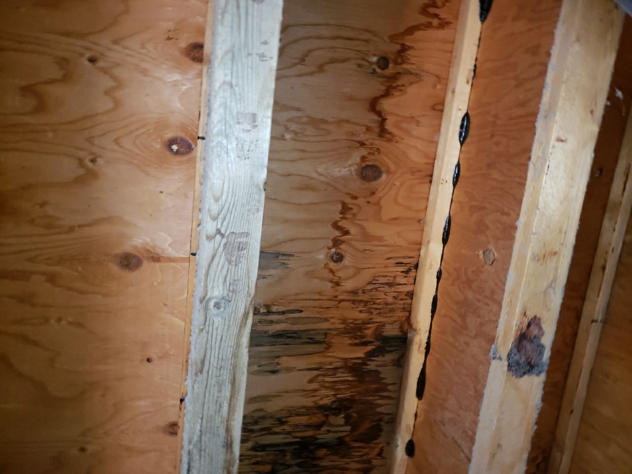 Residential Roofing Repair using Concrete Tile by The Roof Doctor