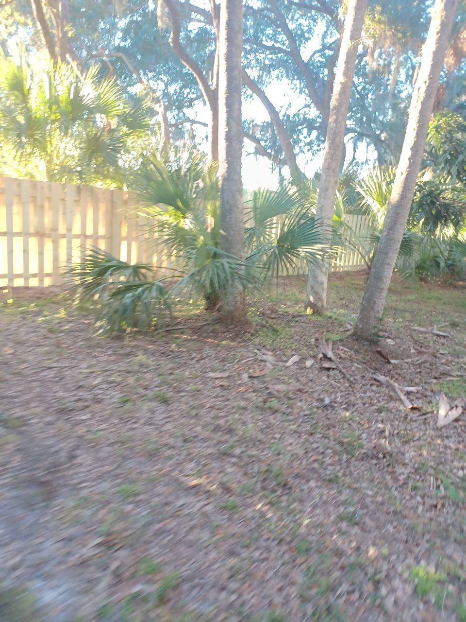 Sarasota, FL 4ft. Tall 3-Rail Aluminum Fence by Asap fence and gates, LLC