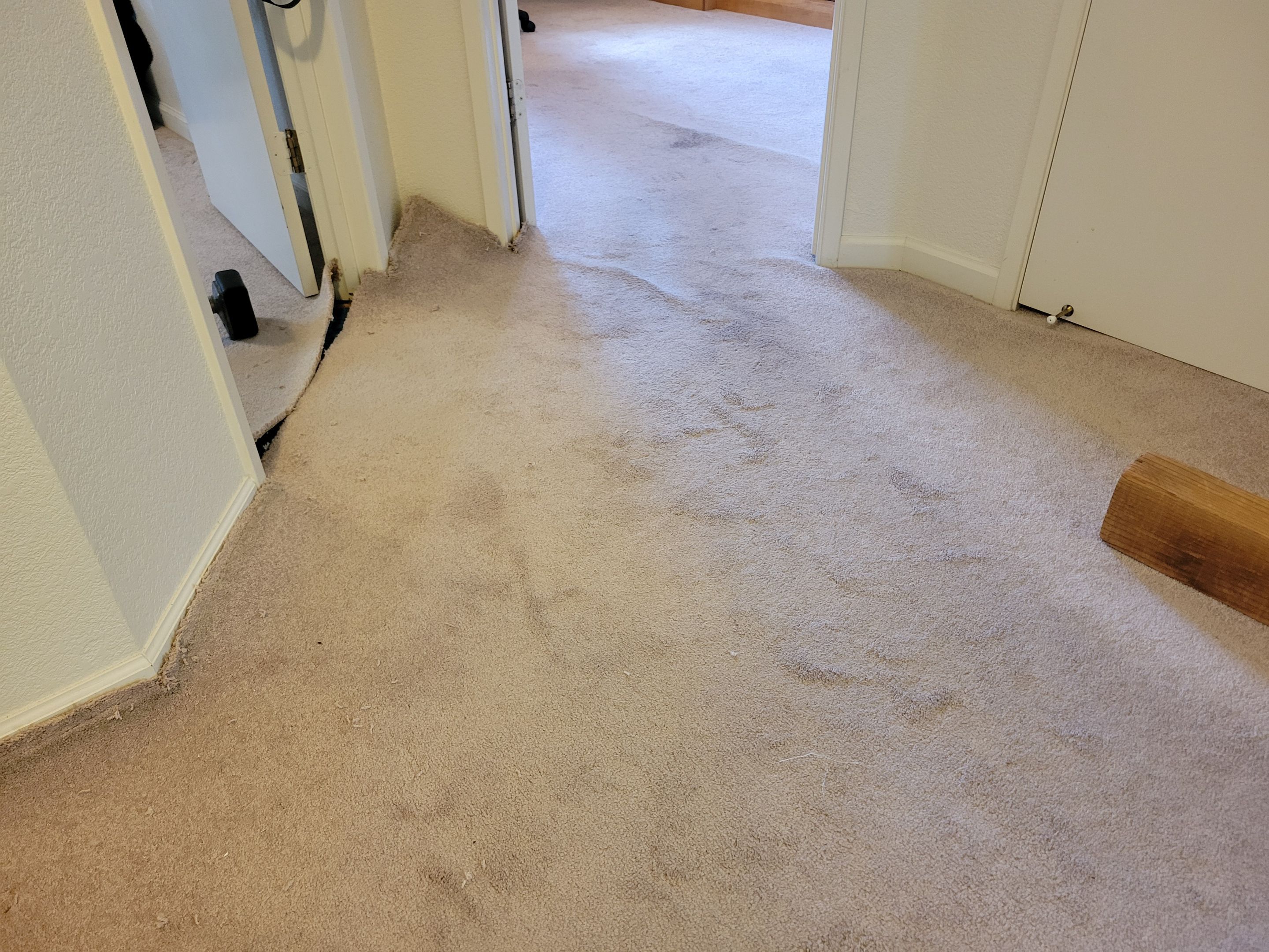 Woodland Carpet Re-stretch and Cleaning by Ardent Carpet Restore LLC