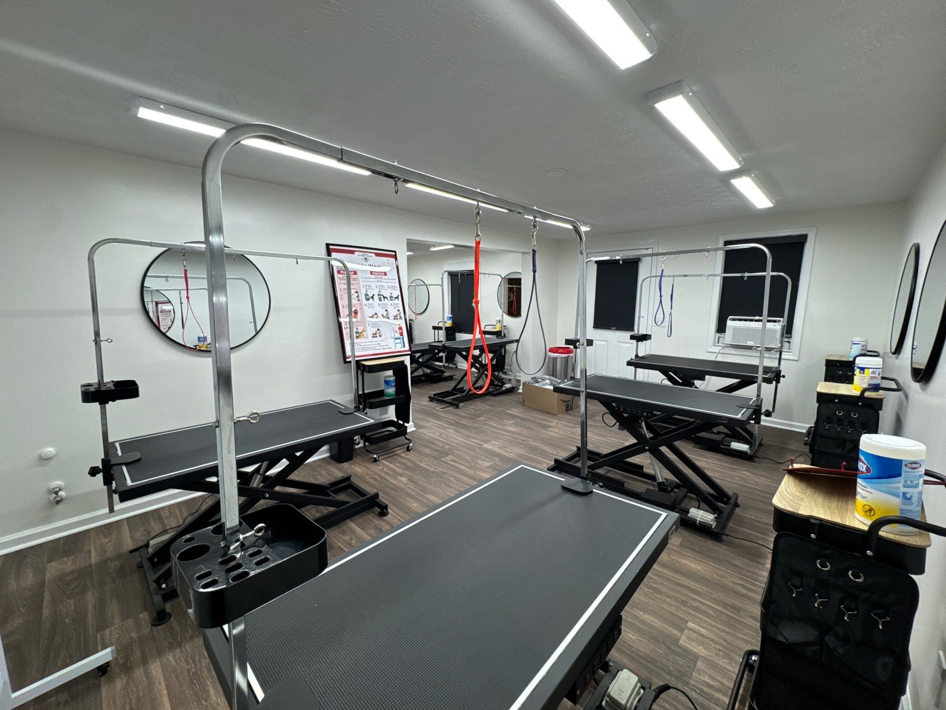 Commercial Pet Grooming Salon Interior Remodel in Powder Springs by Swift Home Renovations