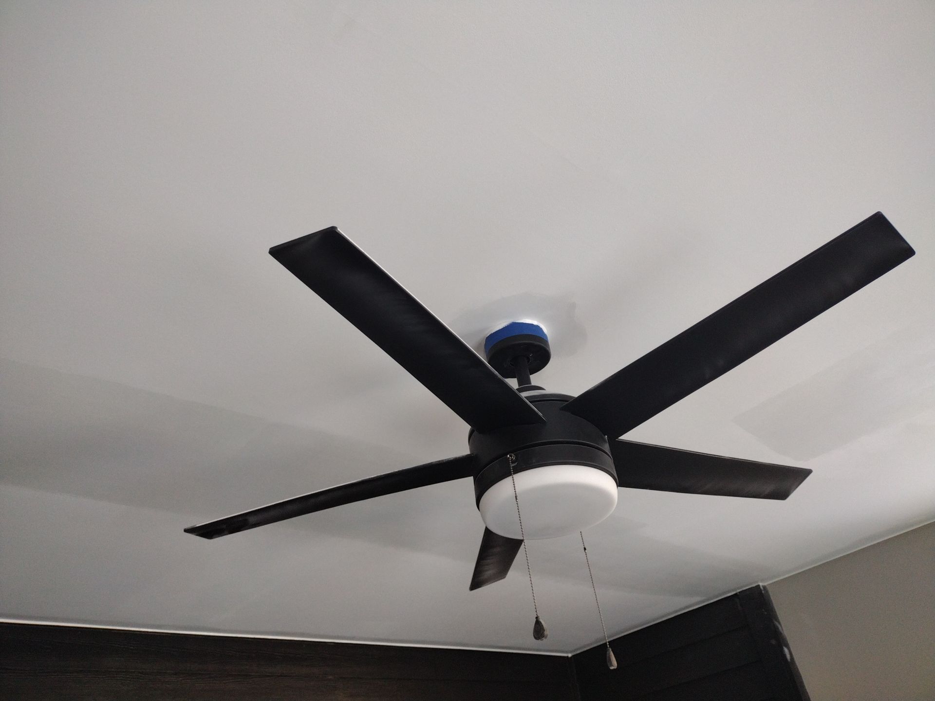 Puppy Room Conversion – Patio to Premium Pet Space by Johnny Five Construction 