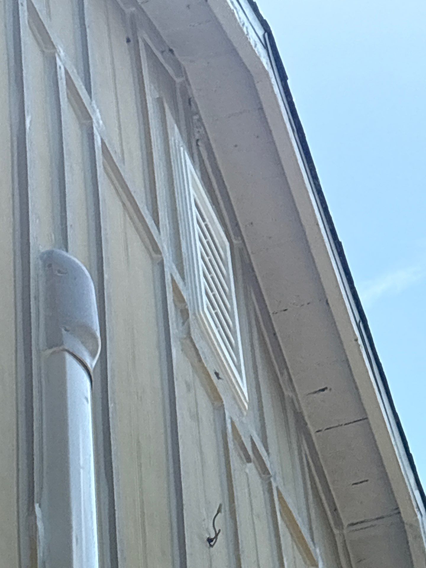 Olive you a Lot! by Bayfront Roofing and Construction