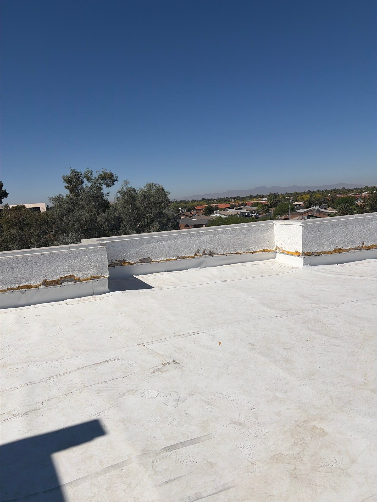 Project in Glendale by Crush Development Services LLC