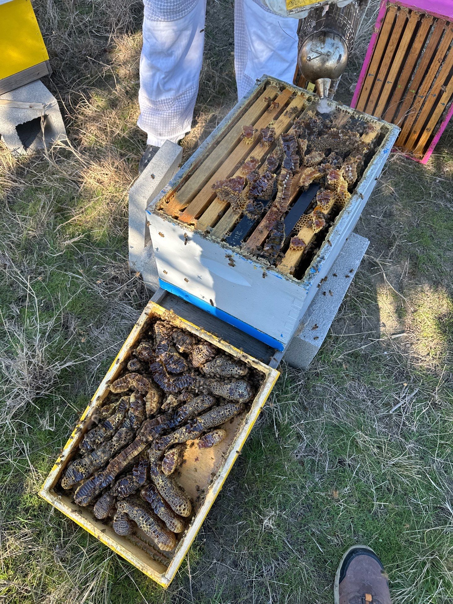 Rabbit Ridge Apiary by Rockwall Honey Bee Company