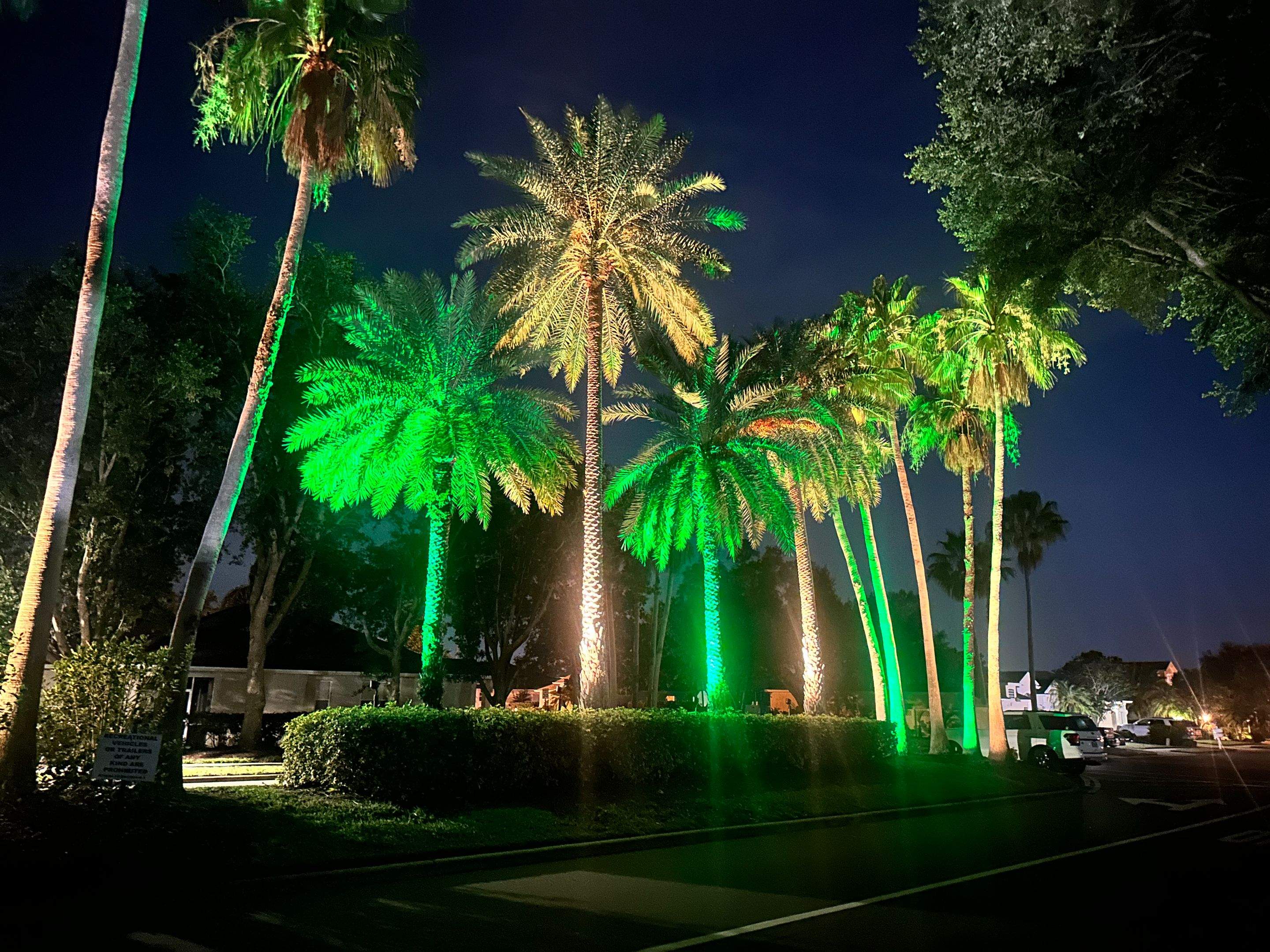 Transform Your HOA Entrance for Every Season -Without the Decorating Expense by Illuminate Landscape Designs