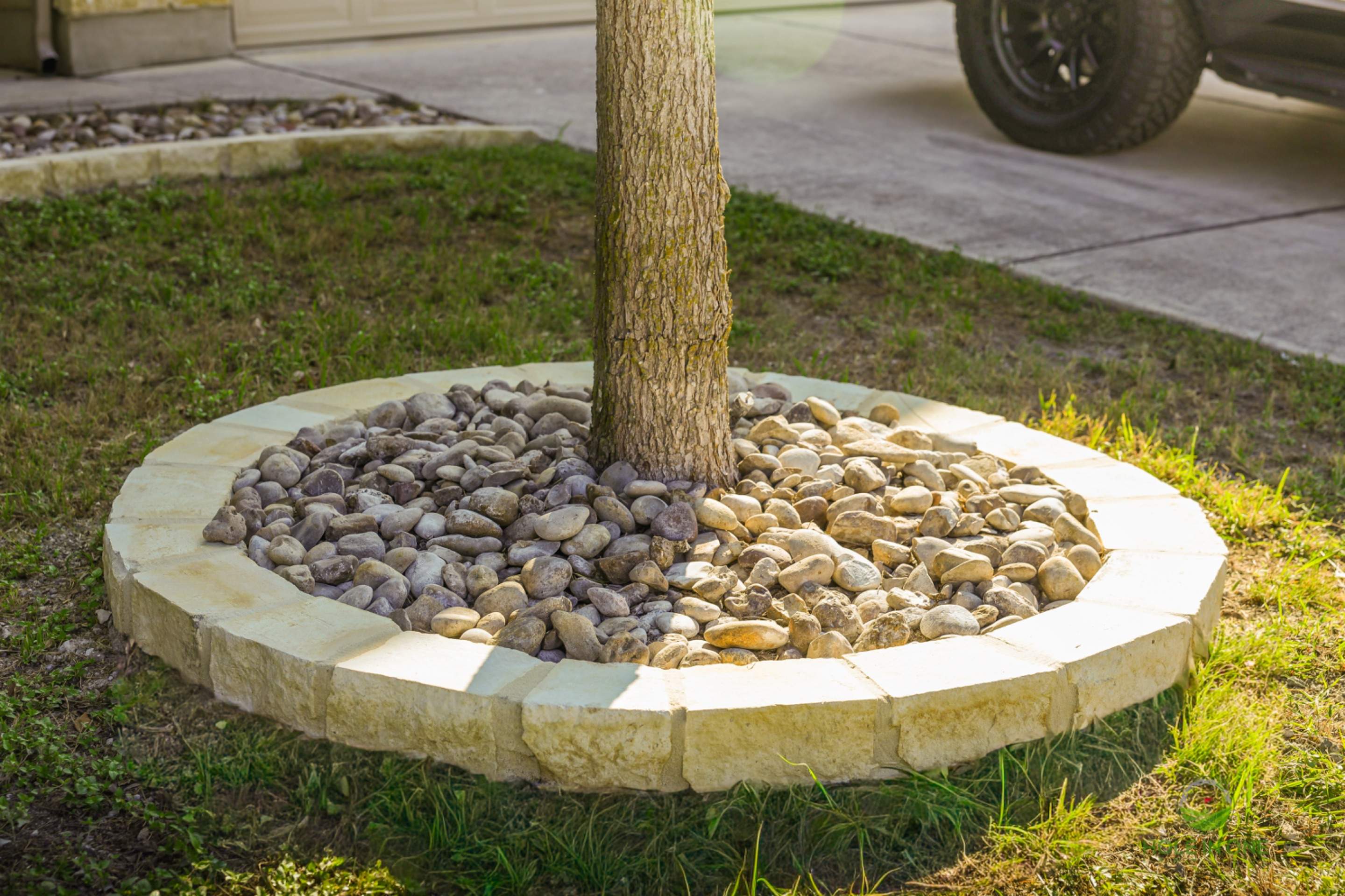 Wortham Oaks, San Antonio TX by Hole In One Lawns, LLC
