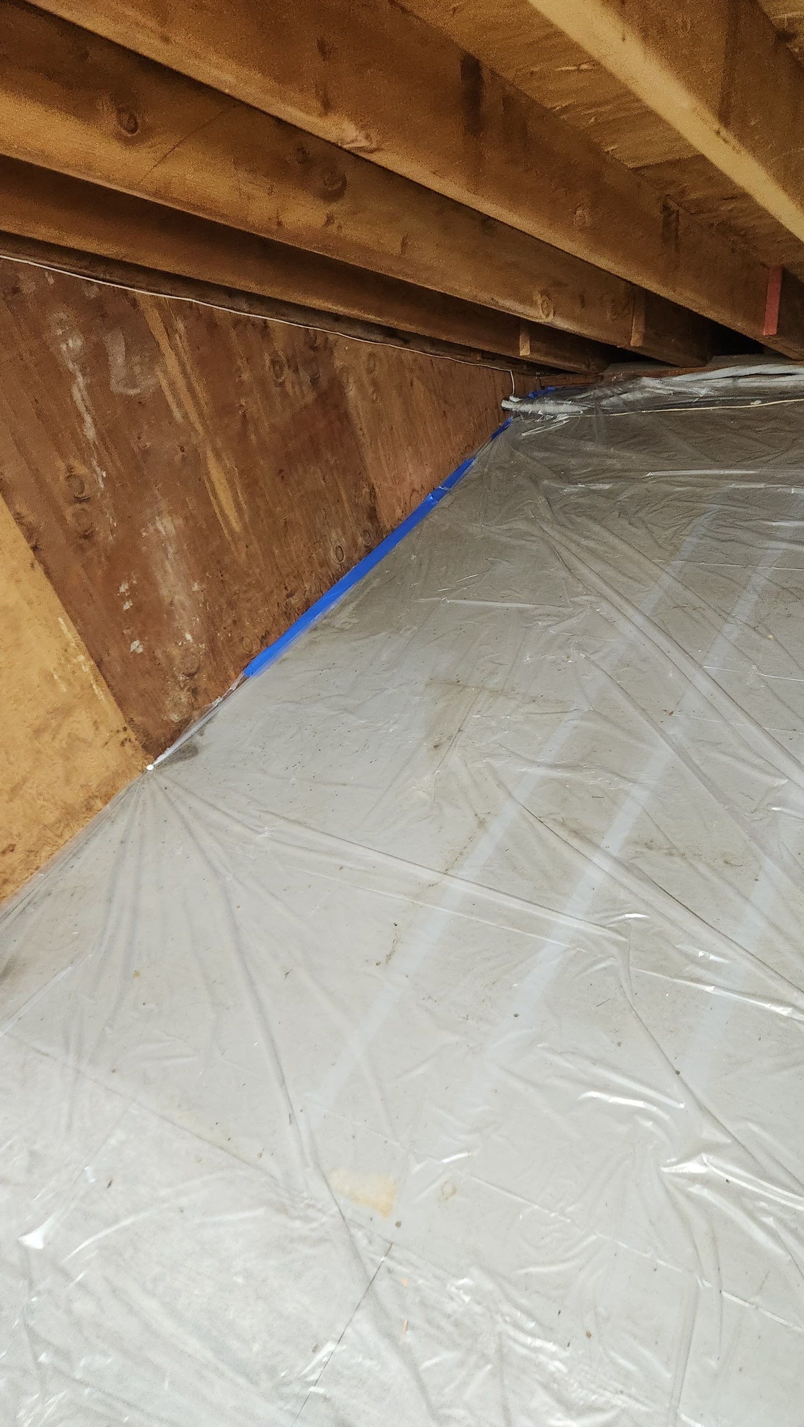 Attic Mold Remediation in Montville, NJ by Pure Service Pro, LLC