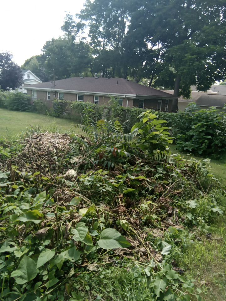 Tree Removal using Tree Removal by Mike Jones & Sons Tree Service LLC 