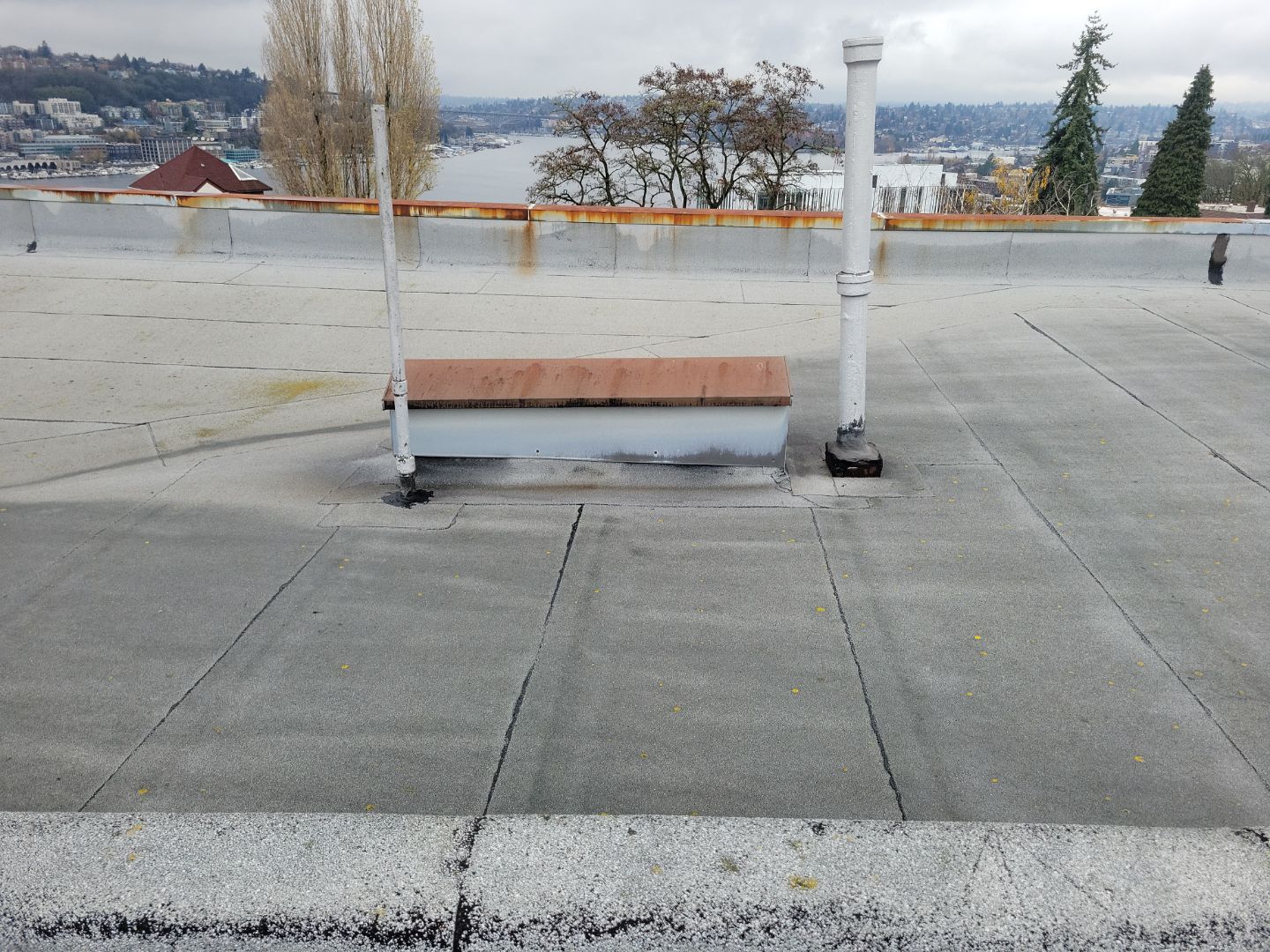 2026 Seattle Commercial Multi-Family Structure by Alternative Roofing Systems Inc. 