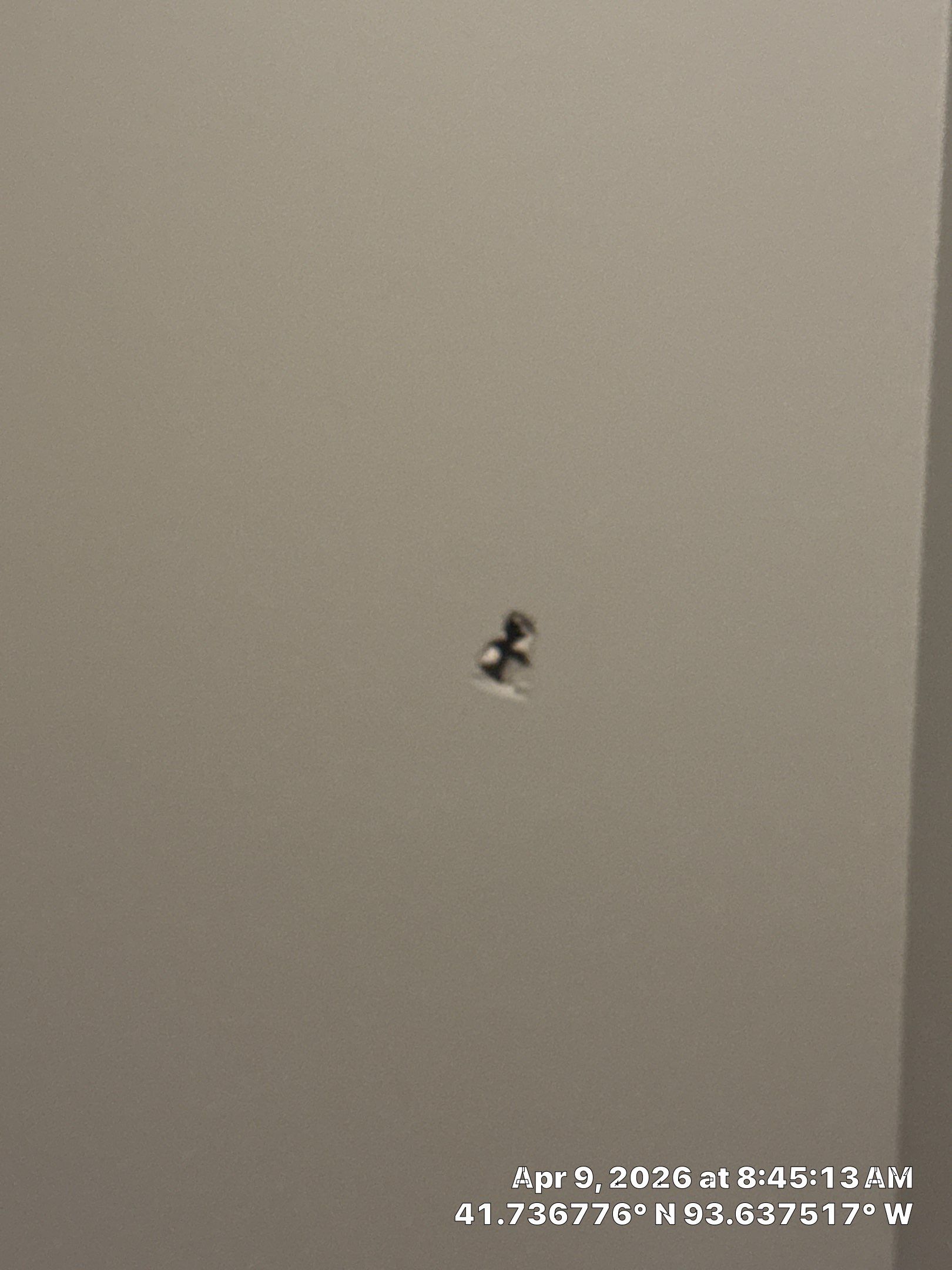 Repaint Accent Walls with Color Change and drywall repairs by Midwest Paint LLC