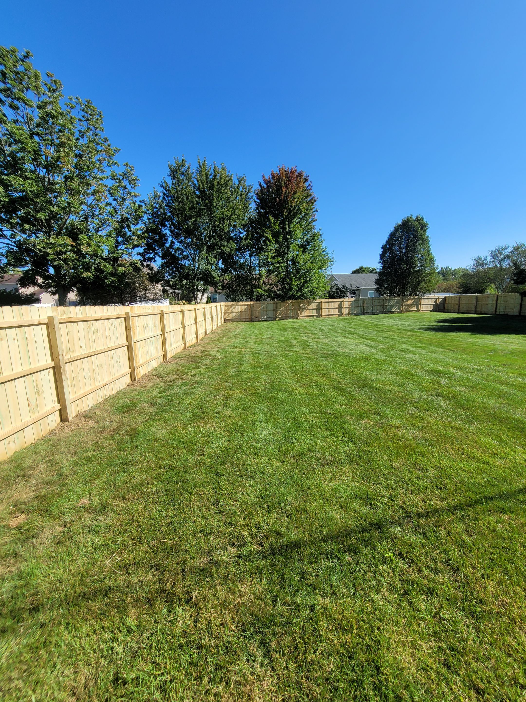 Anthony Wise by Silver Leaf Contracting 