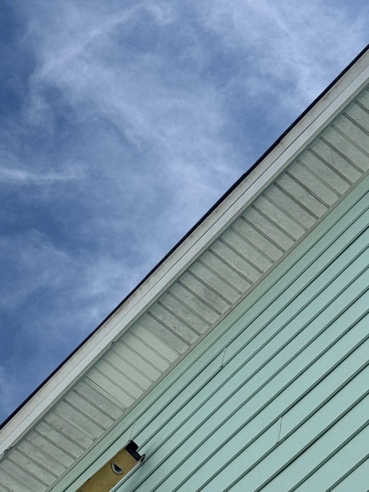 True Force Roofing featured photo.