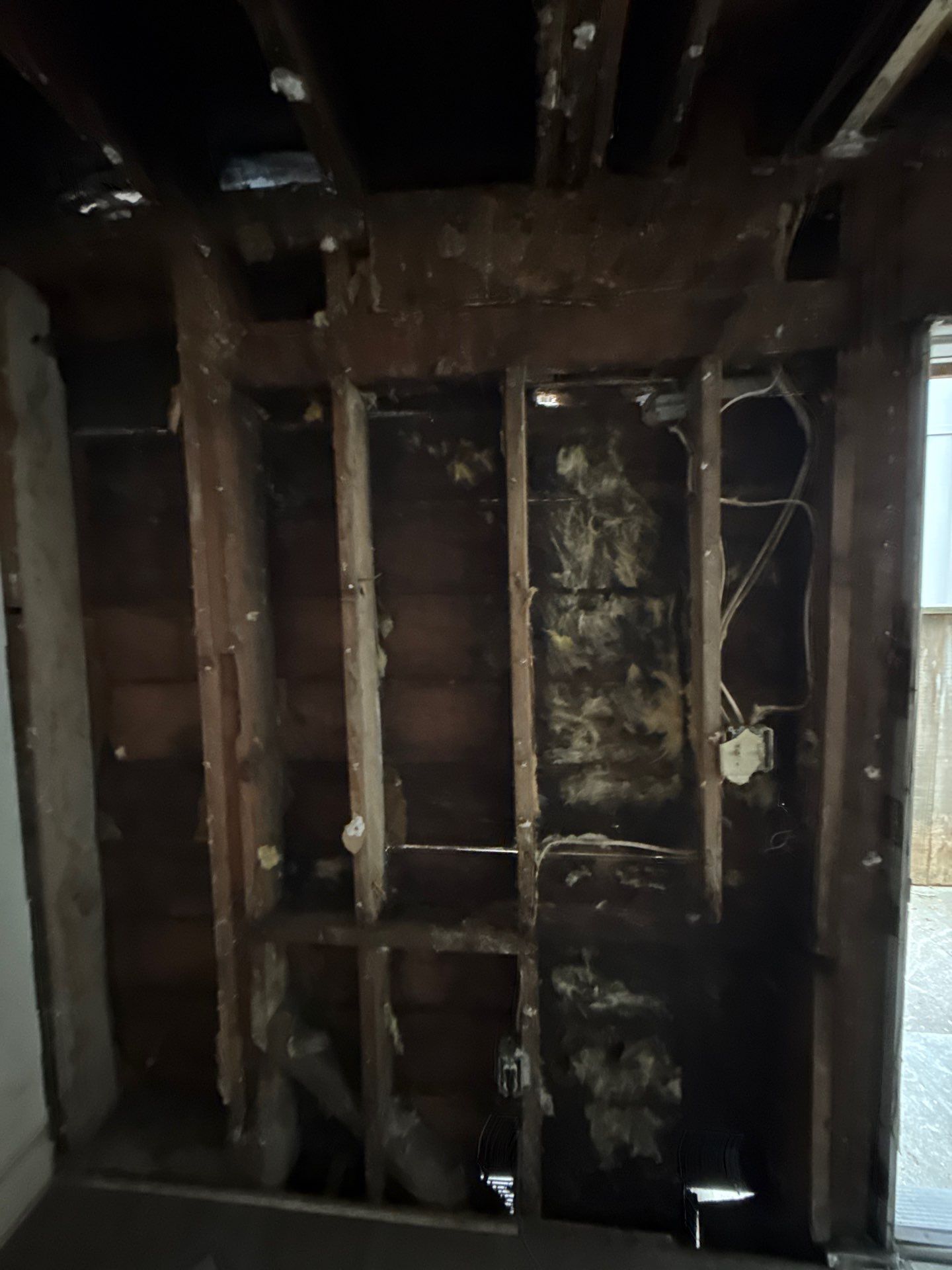 Dry root and termites damage by Hexagon Construction