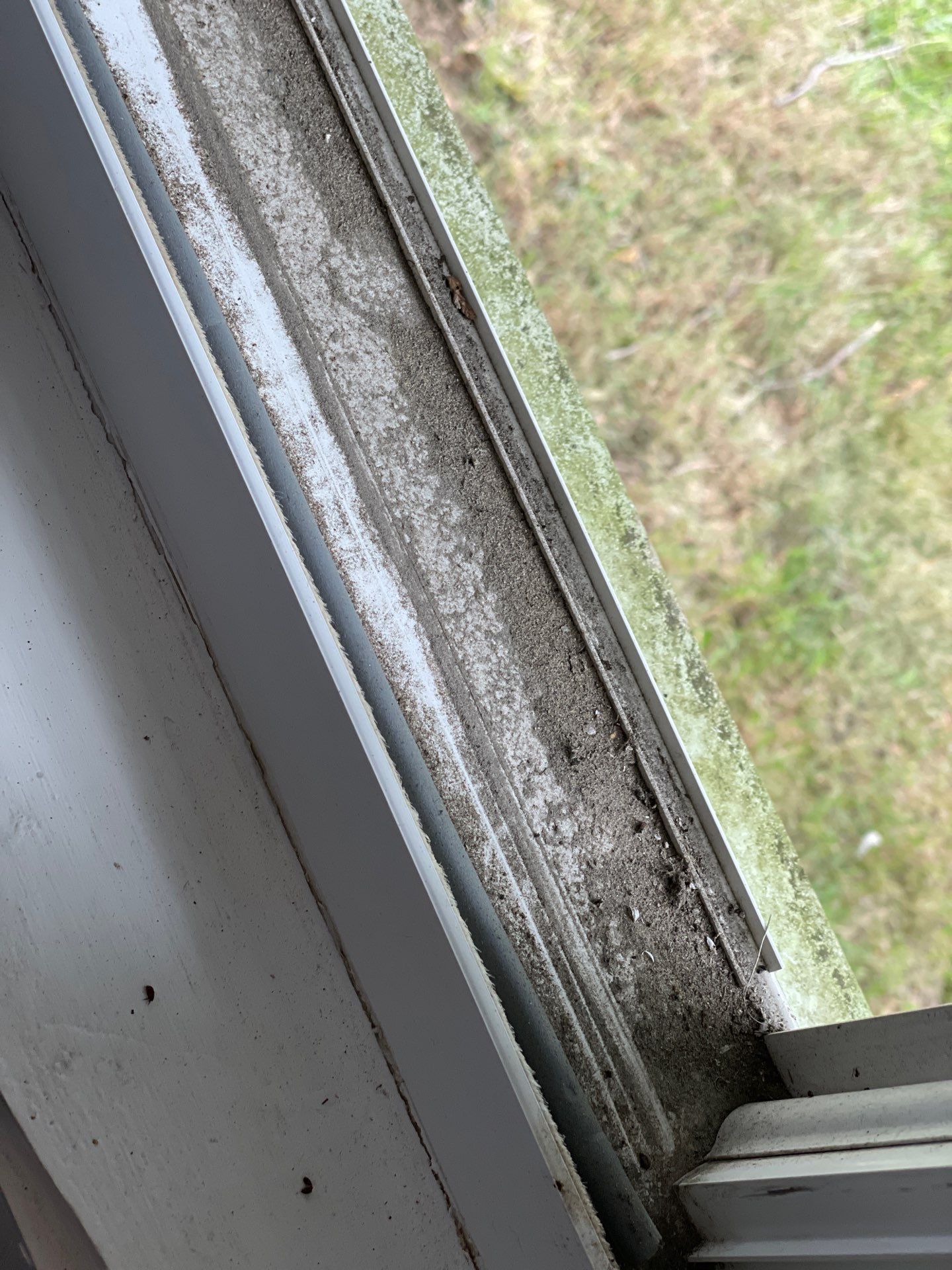 Project in Warwick by Mg House Cleaning