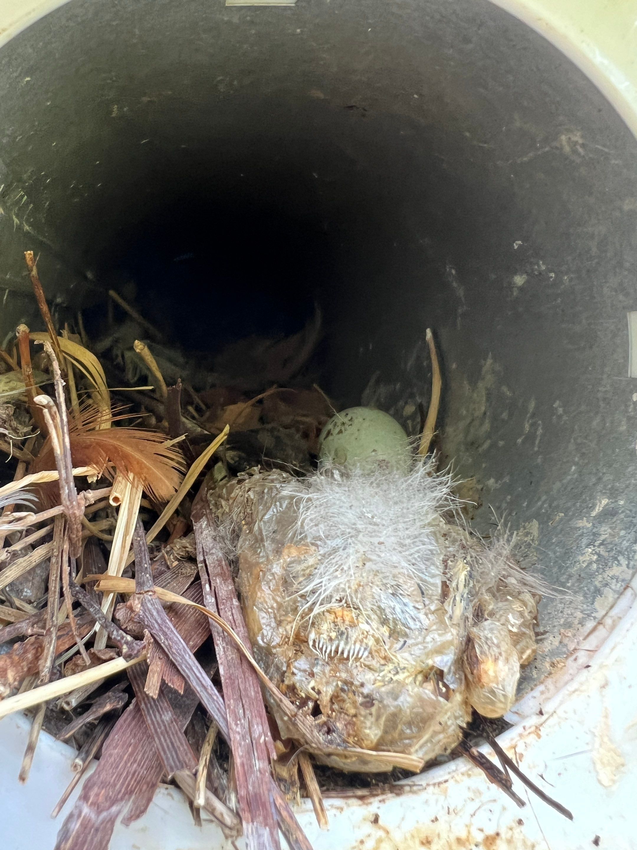 Dryer Vent Cleaning in Canonsburg, PA by Superior Air Duct Cleaning