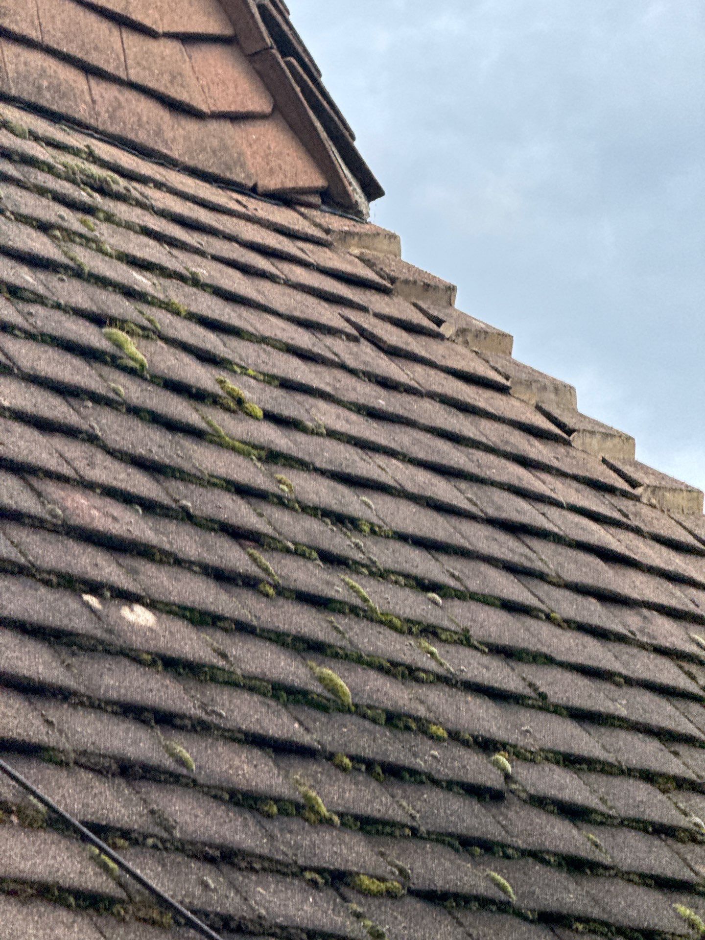 Roof and Patio Cleaning using Honda 15lpm Low Pressure Washing Machine by Ges Exterior Cleaning ltd