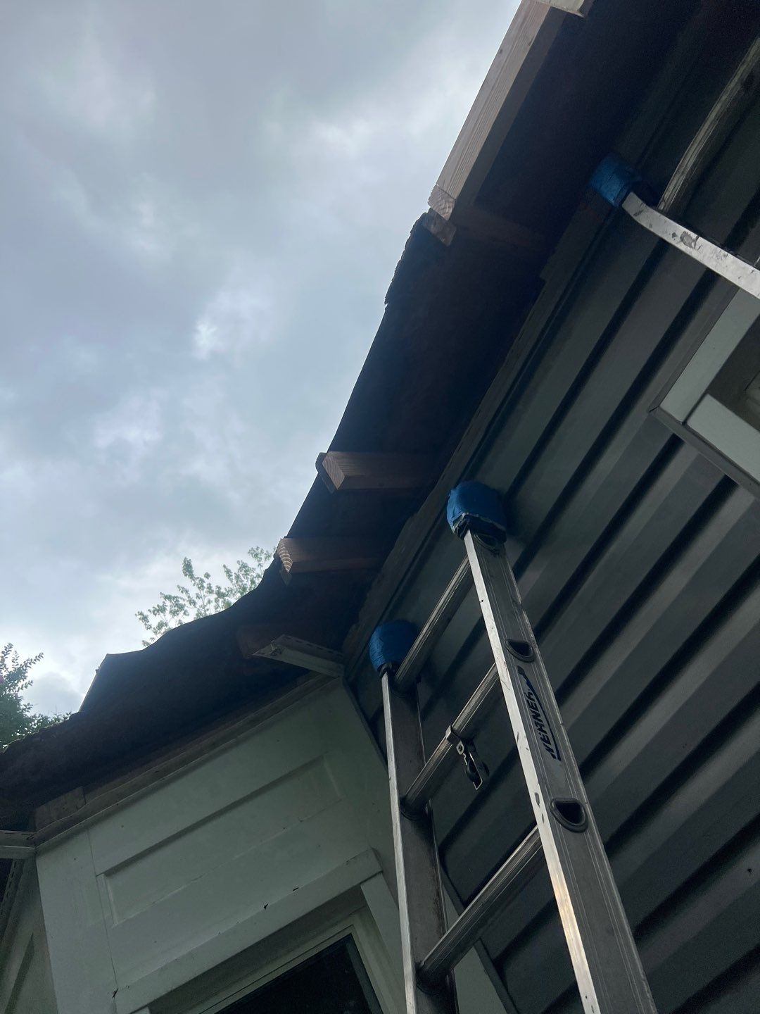 Alexandria: Residential Flat Roof Replacement with MuleHide TPO by RM Banning, Inc.