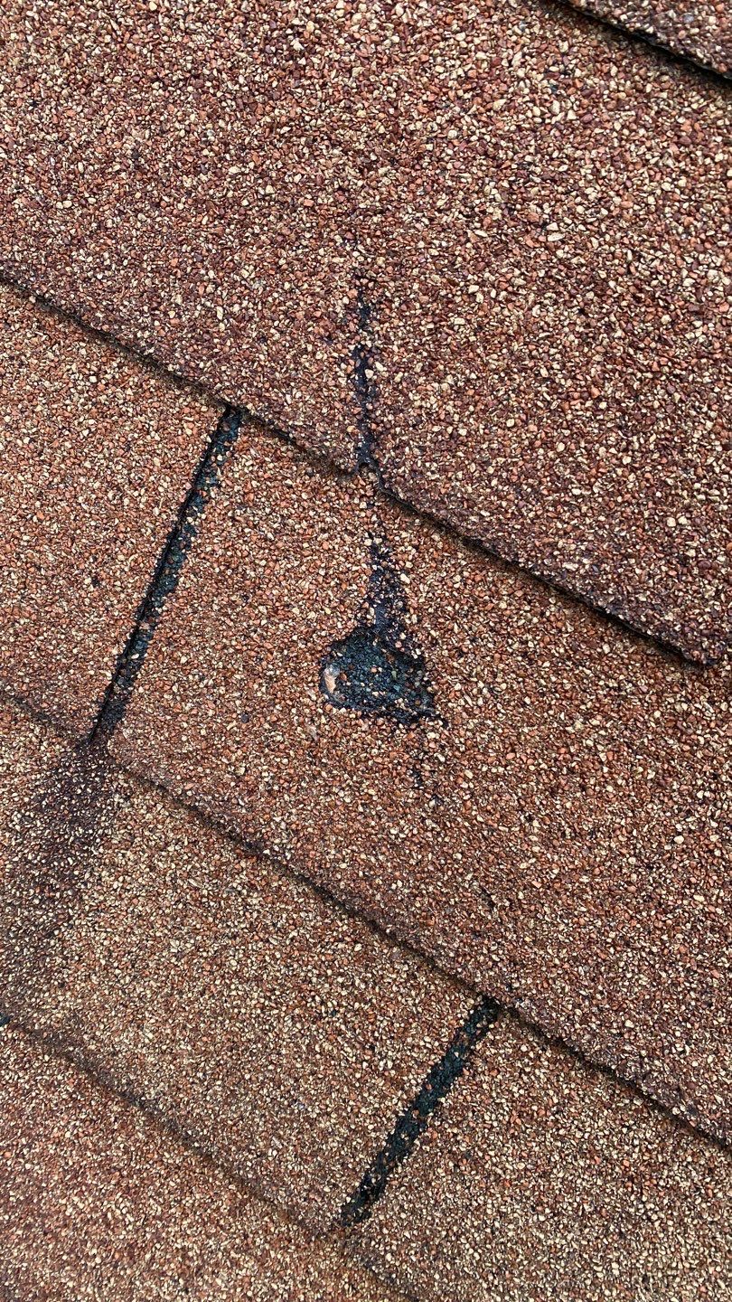 Arlington: CertainTeed Landmark Pro Designer Shingles in Max Def Shenandoah by RM Banning, Inc.