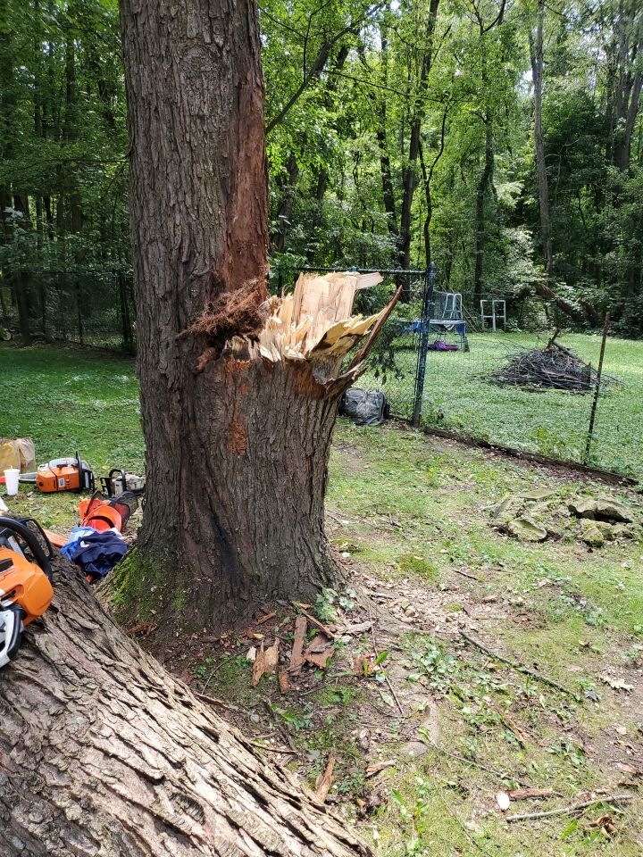Storm Damaged Tree Removal  by Mike Jones & Sons Tree Service LLC 