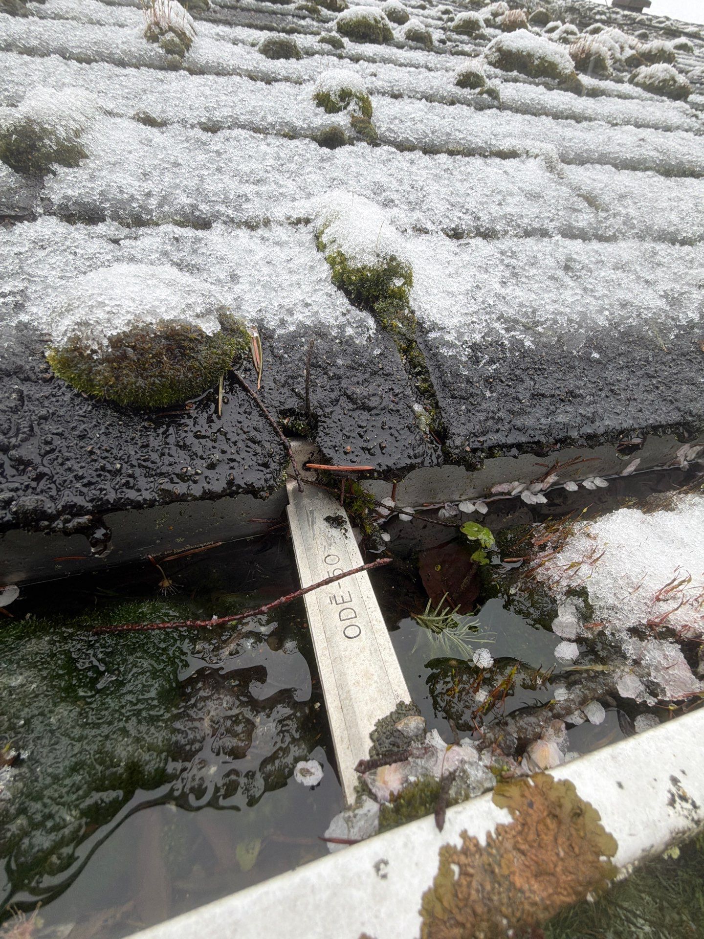 Roof in Lake Stevens by Connolly Construction Company