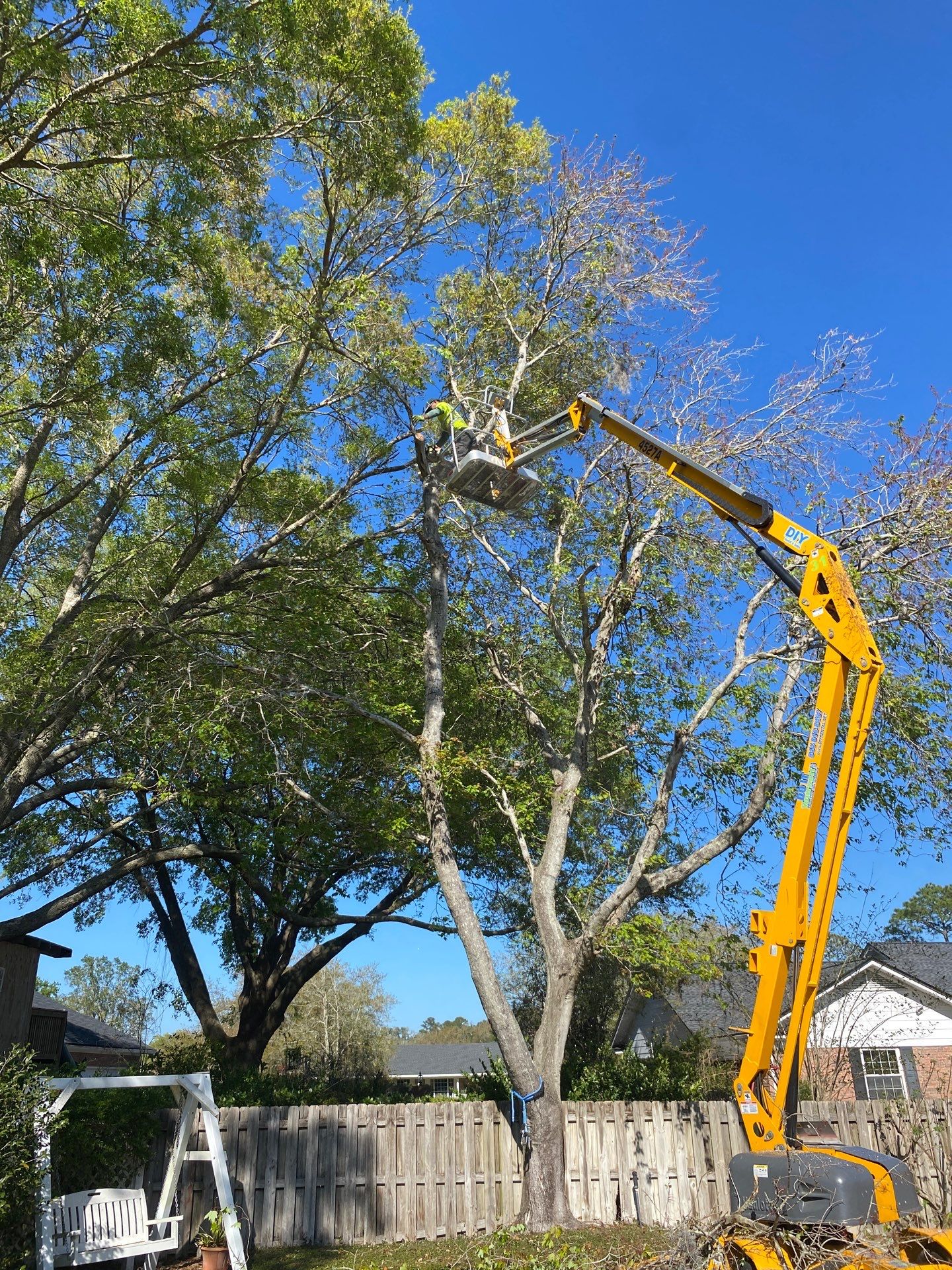 Deerwood Resident | Tree Service by ProGreen Services