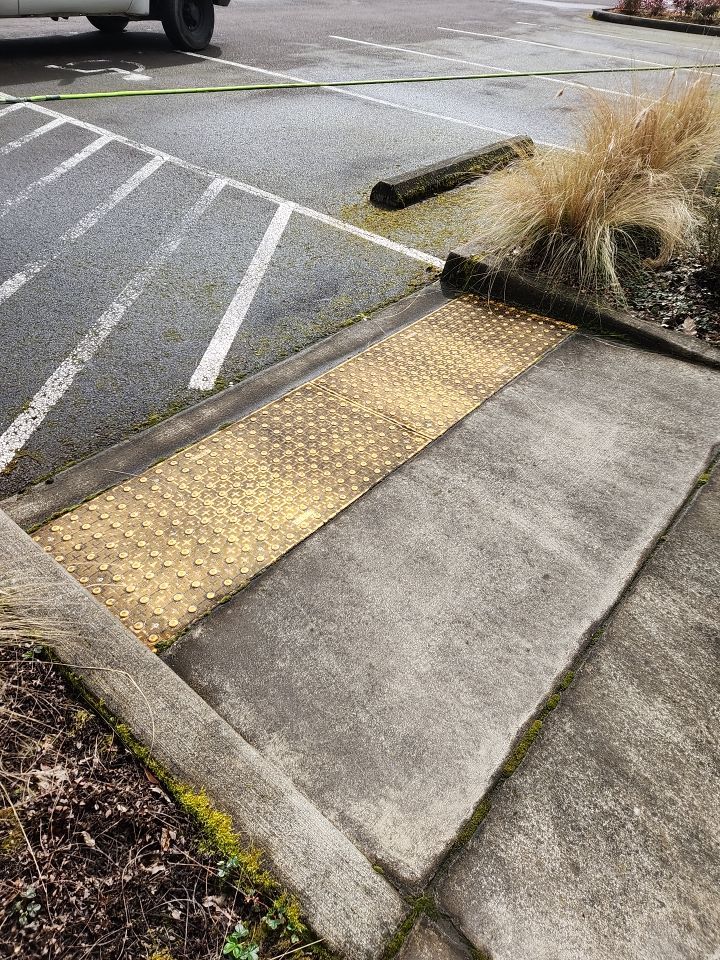 Soft Wash using Soft wash solution by Willamette Outdoor Wash LLC