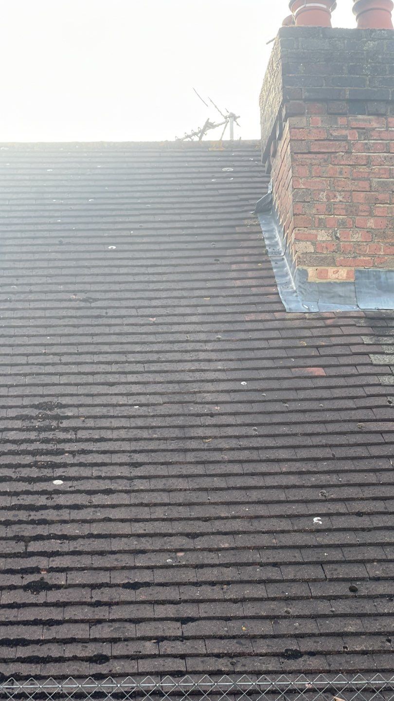 Roof Clean - Biocide Treatment using Honda 15lpm Low Pressure Washing Machine by Ges Exterior Cleaning ltd