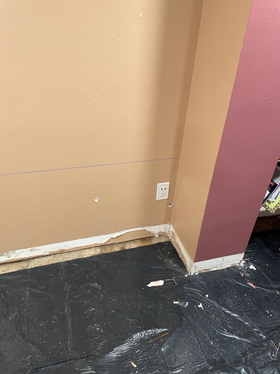Water Damage and Mold Remediation by Accountable Home Services