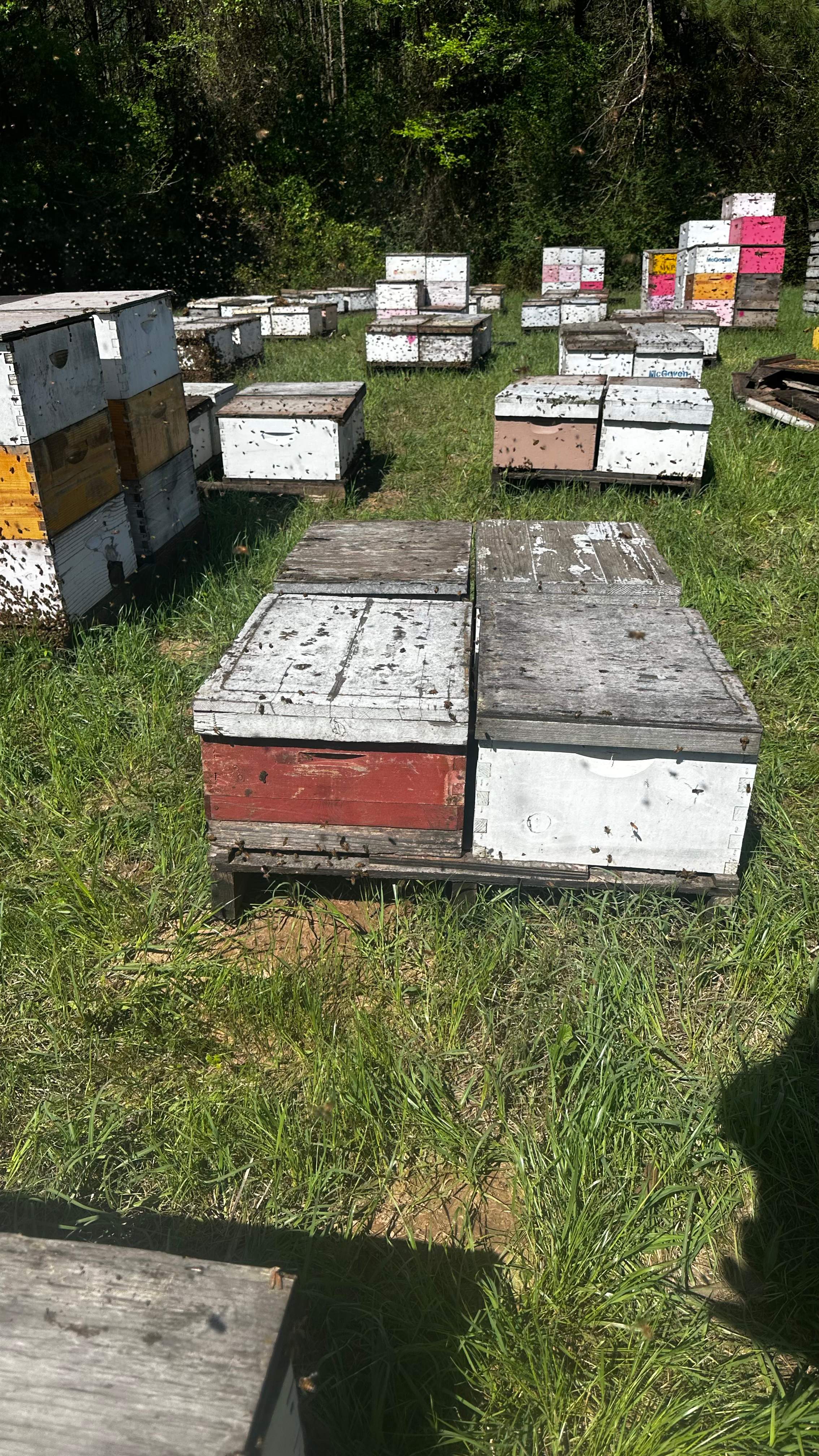 Traylor's Hay Meadow Apiary by Rockwall Honey Bee Company
