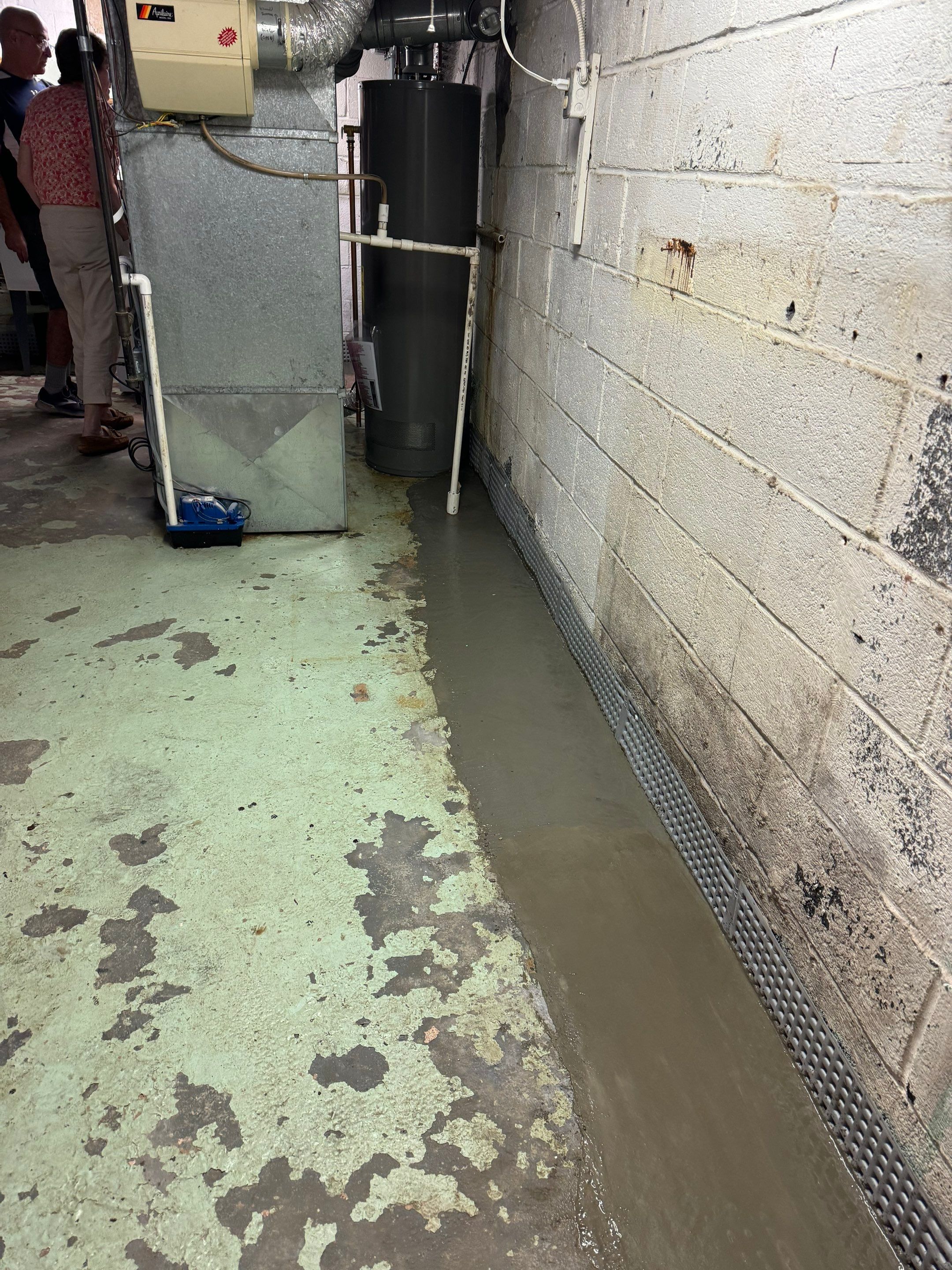Basement Waterproofing River Edge NJ by Pure Service Pro, LLC 