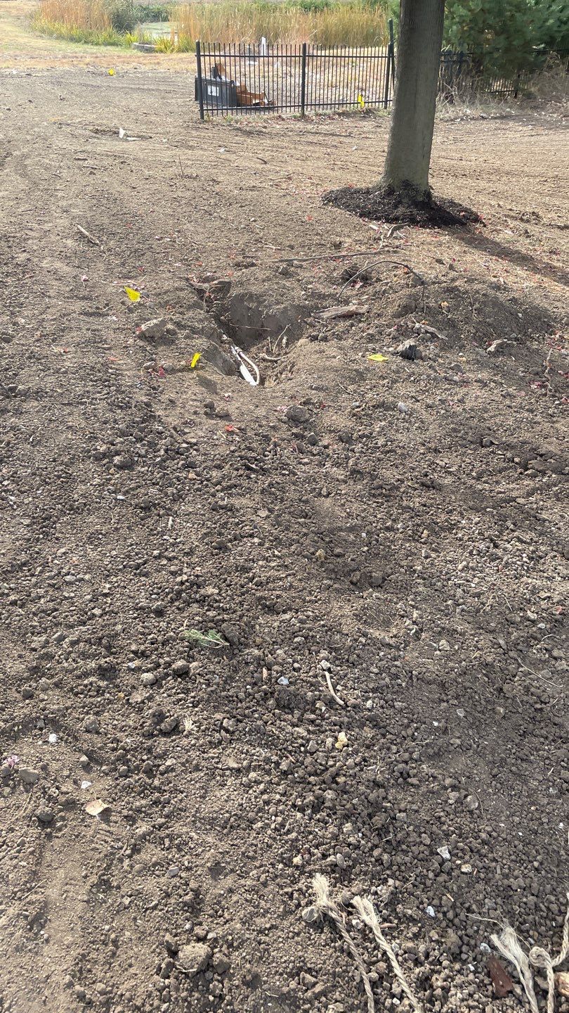 Landscape Bed Updates.  by New Horizon Landscapes