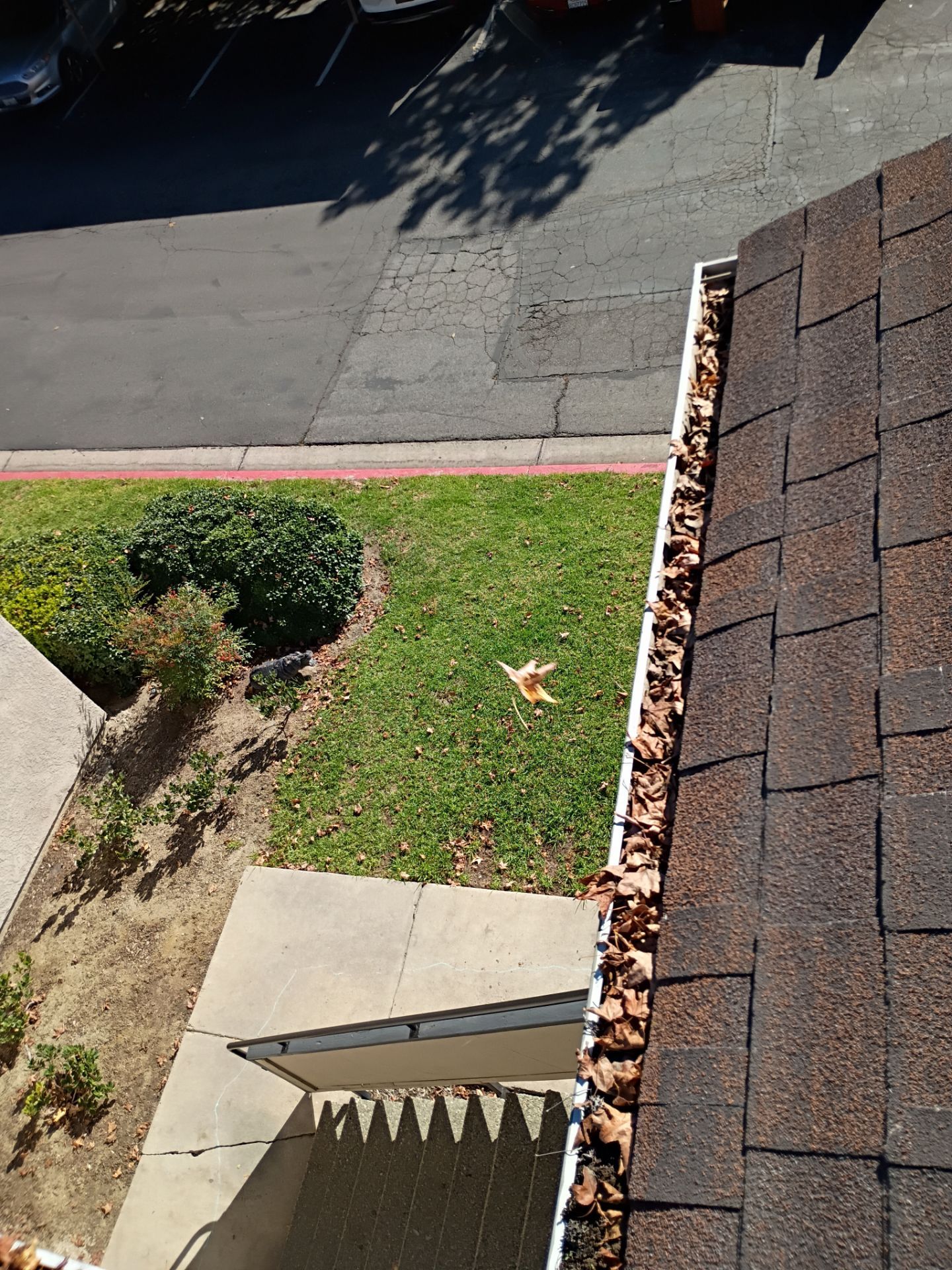 Commercial gutter cleaning Los Angeles before photo with filled gutters