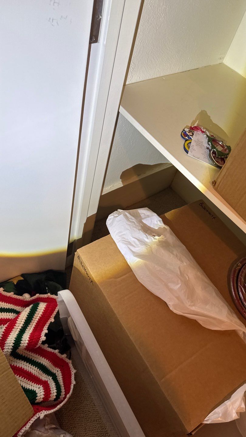 Mold Project in Englewood by Accountable Home Services