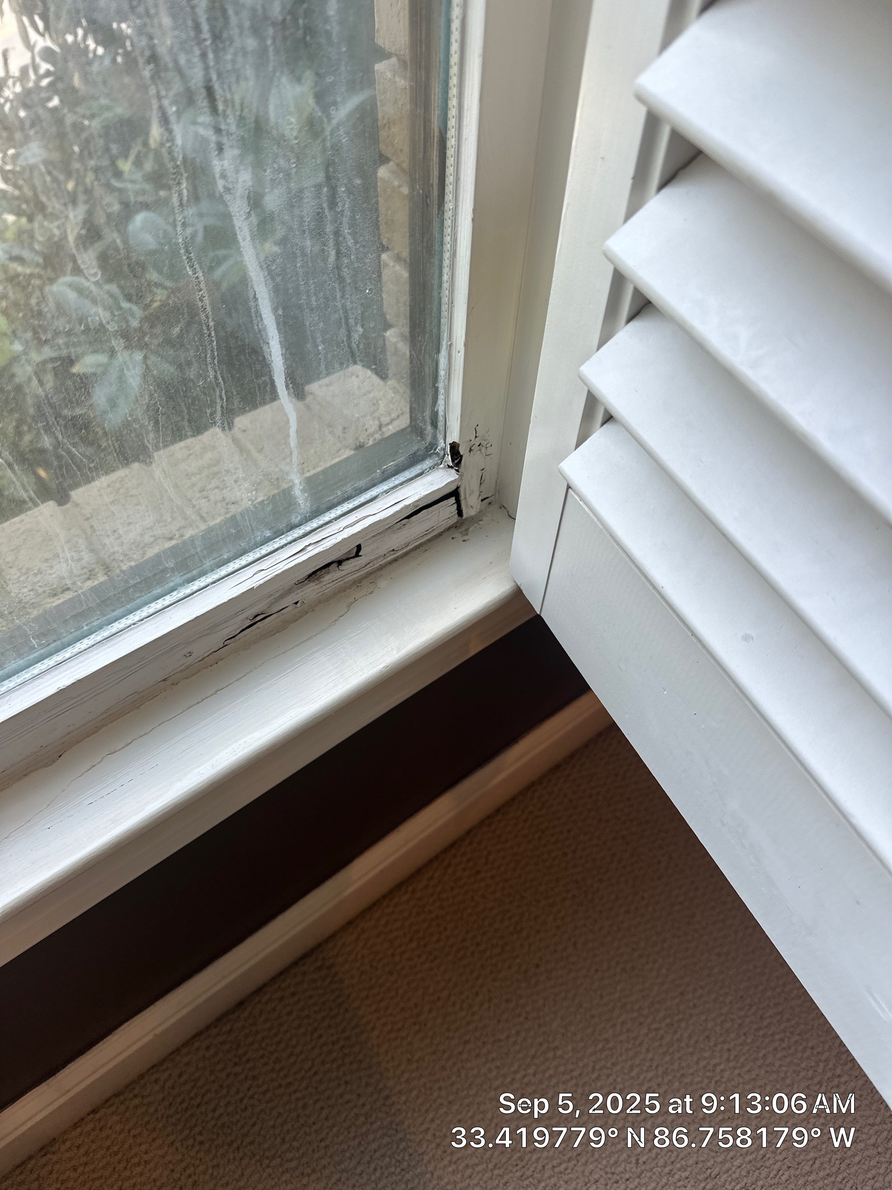 Phillips Project in Vestavia by The Window Source