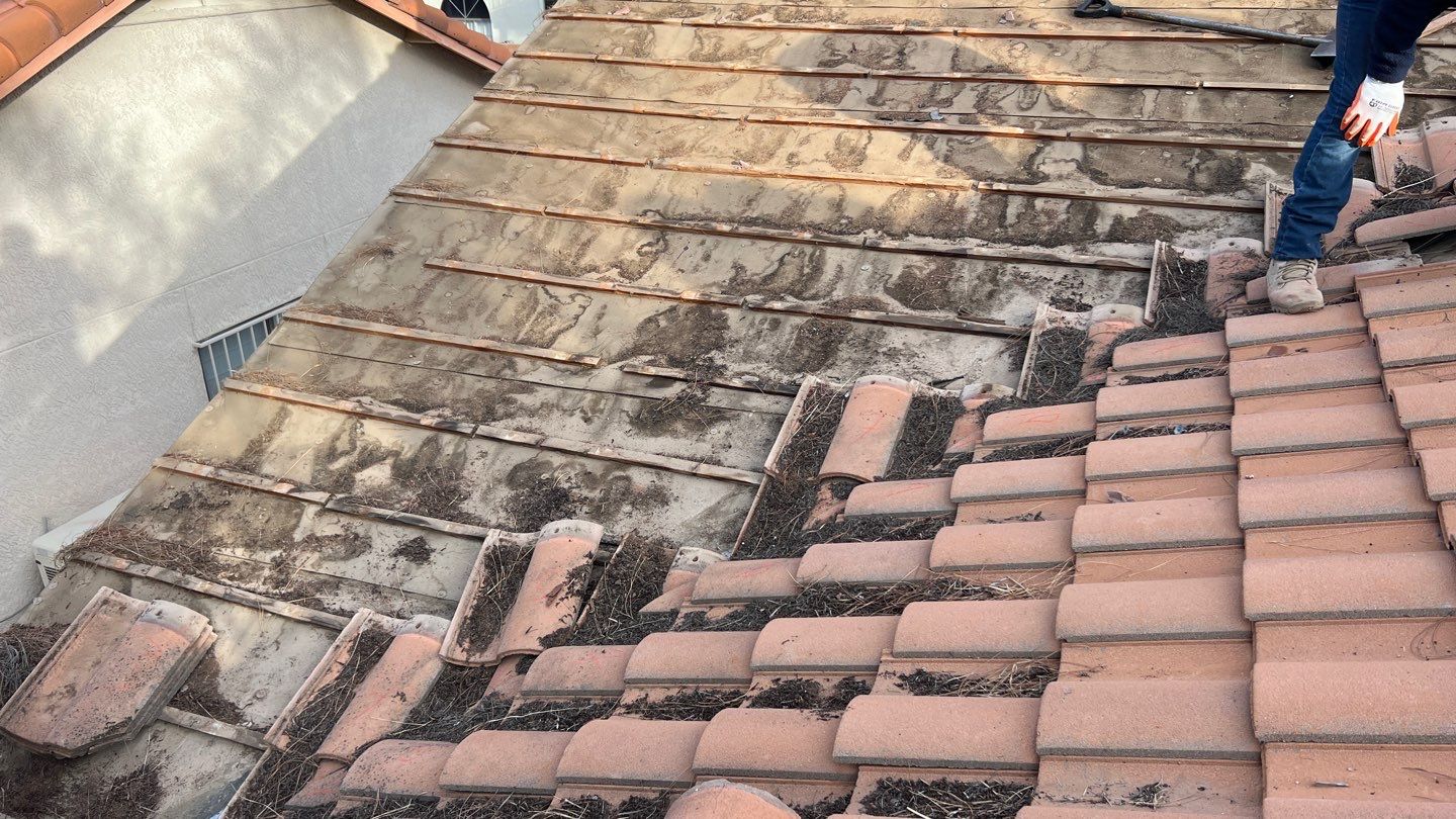 Sunset Tan Concrete Tile by Reimagine Roofing