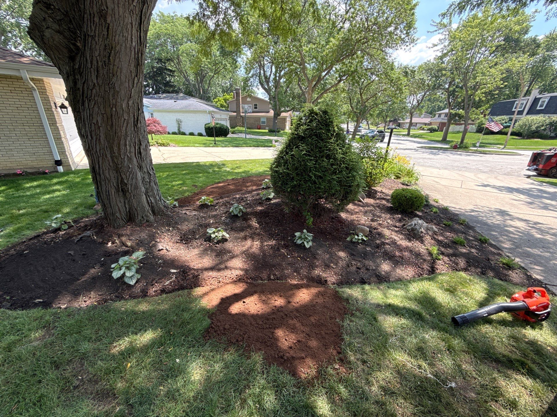 Mike & Diane L. - Arlington Heights, IL by A&N 