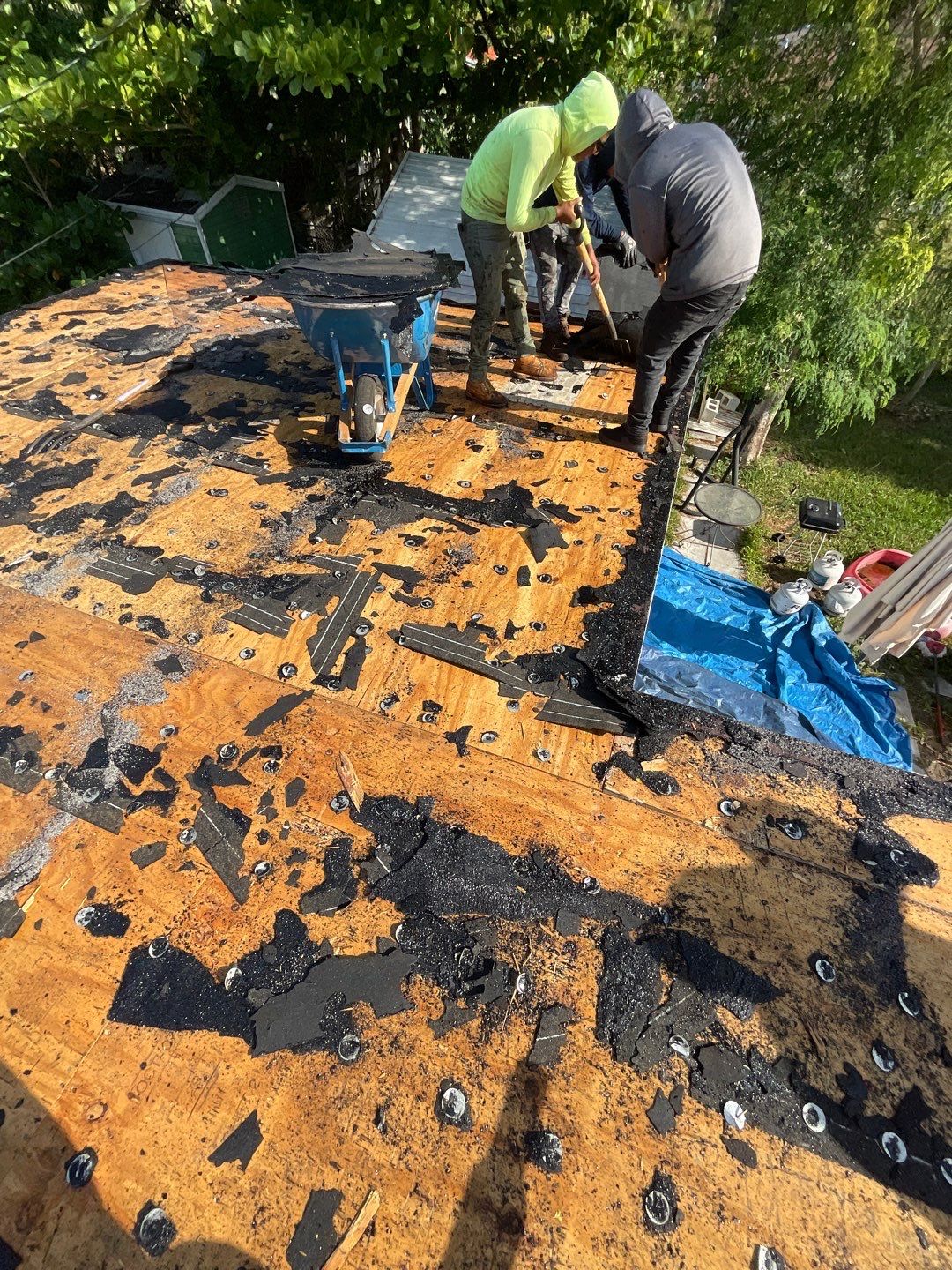 Beautiful Blue Shingle Re-Roof in Hollywood! by First Due Roofing