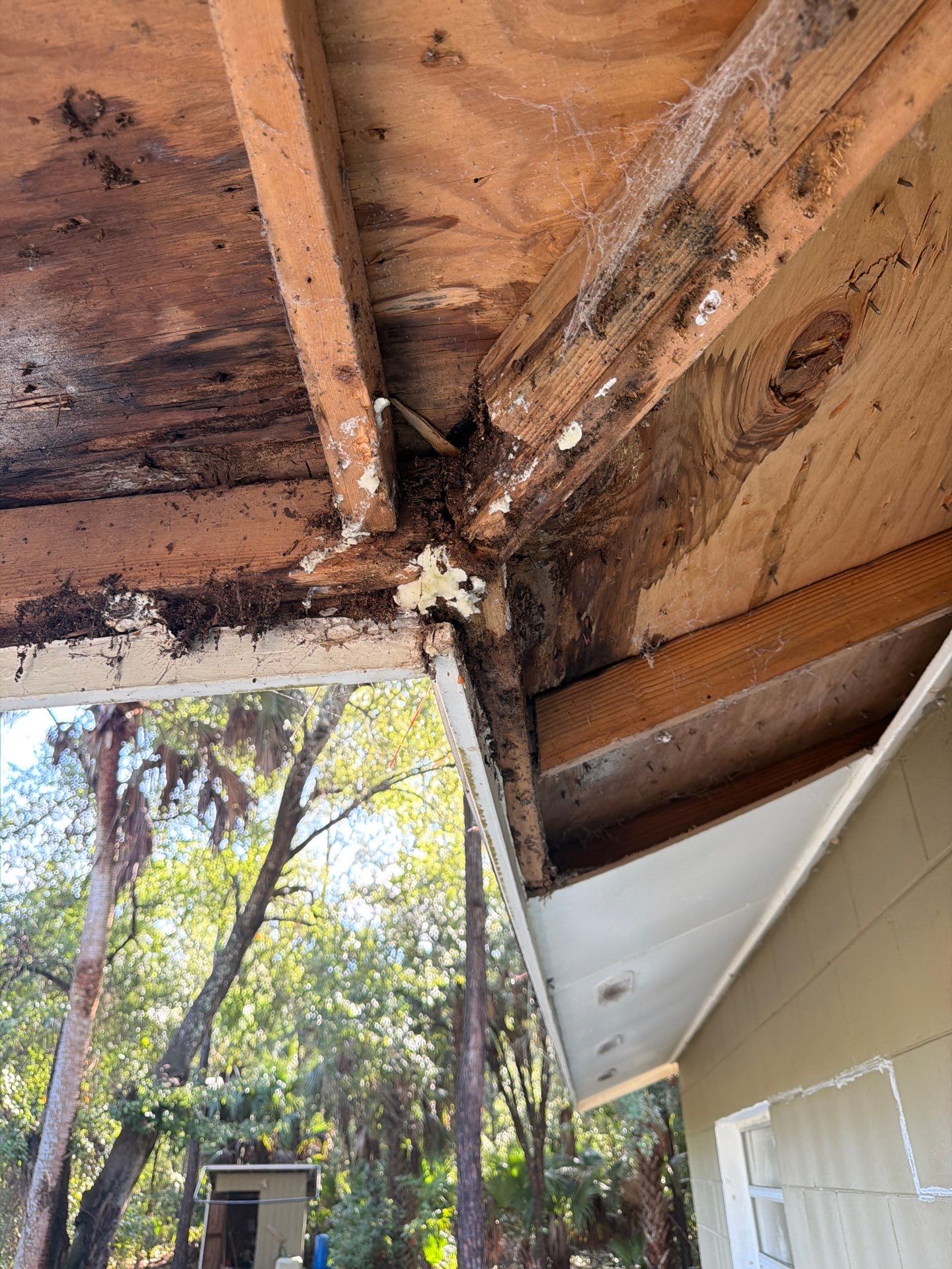 Sorrento Residential Fascia Repair and Soffit Wood Rot Restoration by Fortified Roofing Solutions Corp.
